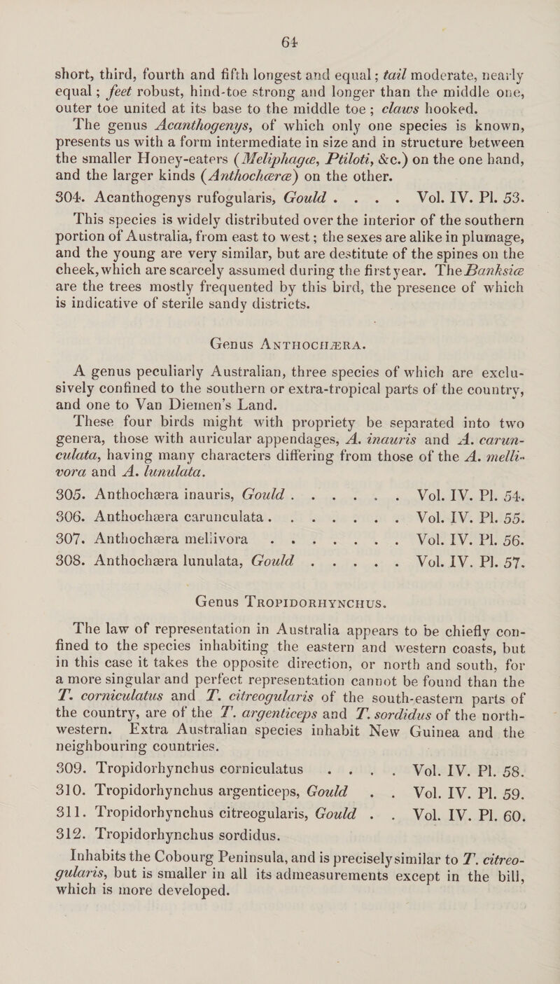 short, third, fourth and fifth longest and equal; tail moderate, nearly equal; feet robust, hind-toe strong and longer than the middle one, outer toe united at its base to the middle toe ; claws hooked. The genus Acanthogenys, of which only one species is known, presents us with a form intermediate in size and in structure between the smaller Honey-eaters (Melipliagce, Ptiloti, &c.) on the one hand, and the larger kinds (Anthochcerce) on the other. 304. Acanthogenys rufogularis, Gould .... Vol. IV. PI. 53. This species is widely distributed over the interior of the southern portion of Australia, from east to west; the sexes are alike in plumage, and the young are very similar, but are destitute of the spines on the cheek, which are scarcely assumed during the first year. T\\e Banksiw are the trees mostly frequented by this bird, the presence of which is indicative of sterile sandy districts. Genus Antiiocii^ra. A genus peculiarly Australian, three species of which are exclu¬ sively confined to the southern or extra-tropical parts of the country, and one to Van Diemen’s Land. These four birds might with propriety be separated into two genera, those with auricular appendages, A. inauris and A. carun- culata, having many characters differing from those of the A. melli- vora and A. lunulata. 305. Anthochaera inauris, Gould . 306. Anthochaera carunculata . 307. Anthochaera mellivora . . 308. Anthochaera lunulata, Gould . Vol. IV. PL 54. . Vol. IV. PL 55. . Vol. IV. PL 56. . Vol. IV. PL 57. Genus Tropidorhynchus. The law of representation in Australia appears to be chiefly con¬ fined to the species inhabiting the eastern and western coasts, but in this case it takes the opposite direction, or north and south, for a more singular and perfect representation cannot be found than the T. corniculatus and J. citreogularis of the south-eastern parts of the country, are of the T. argenticeps and T. sordidus of the north¬ western. Extra Australian species inhabit New Guinea and the neighbouring countries. 309. Tropidorhynchus corniculatus .... Vol. IV. PL 58. 310. Tropidorhynchus argenticeps, Gould . . Vol. IV. PL 59. 311. Tropidorhynchus citreogularis, Gould . . Vol. IV. PL 60. 312. Tropidorhynchus sordidus. Inhabits the Cobourg Peninsula, and is precisely similar to T. citreo¬ gularis, but is smaller in all its admeasurements except in the bill, which is more developed.