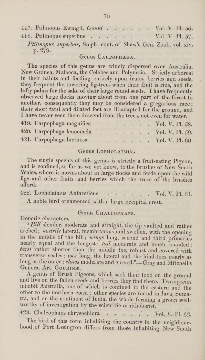 417. Ptilinopus Ewingii, Gould.Vol. Y. PL 56. 418. Ptilinopus superbus.Vol. V. PL 57. Ptilinopus superbus, Steph. cont. of Shaw’s Gen. ZooL, vol. xiv. p. 279. Genus Carpophaga. The species of this genus are widely dispersed over Australia, New Guinea, Malacca, the Celebes and Polynesia. Strictly arboreal in their habits and feeding entirely upon fruits, berries and seeds, they frequent the towering fig-trees when their fruit is ripe, and the lofty palms for the sake of their large round seeds. I have frequently observed large flocks moving about from one part of the forest to another, consequently they may be considered a gregarious race; their short tarsi and dilated feet are ill-adapted for the ground, and I have never seen them descend from the trees, not even for water. 419. Carpophaga magnifica.Vol. V. PI. 58. 420. Carpophaga leucomela.Vol. V. PI. 59. 421. Carpophaga luctuosa.Vol. V. PL 60. Genus Lopholaimus. The single species of this genus is strictly a fruit-eating Pigeon, and is confined, so far as we yet know, to the brushes of New South Wales, where it moves about in large flocks and feeds upon the wild figs and other fruits and berries which the trees of the brushes afford. 422. Lopholaimus Antarcticus.Vol. V. PL 61. A noble bird ornamented with a large occipital crest. Genus Chalcophaps. Generic characters. “Bill slender, moderate and straight, the tip vaulted and rather arched; nostrils lateral, membranous and swollen, with the opening in the middle of the bill; wings long, second and third primaries nearly equal and the longest; tail moderate and much rounded ; tarsi rather shorter than the middle toe, robust and covered with transverse scales; toes long, the lateral and the hind-toes nearly as long as the outer; claws moderate and curved.”-—Gray and Mitchell’s Genera, Art. Gourina:. A genus of Brush Pigeons, which seek their food on the ground and live on the fallen seeds and berries they find there. Two species inhabit Australia, one of which is confined to the eastern and the other to the northern coast; other species are found in Java, Suma¬ tra, and on the continent of India, the whole forming a group well¬ worthy of investigation by the scientific ornithologist. 423. Chalcophaps chrysochlora.* . y0l. V. Pl. 62. The bird of this form inhabiting the country in the neighbour¬ hood of Port Essington differs from those inhabiting New South