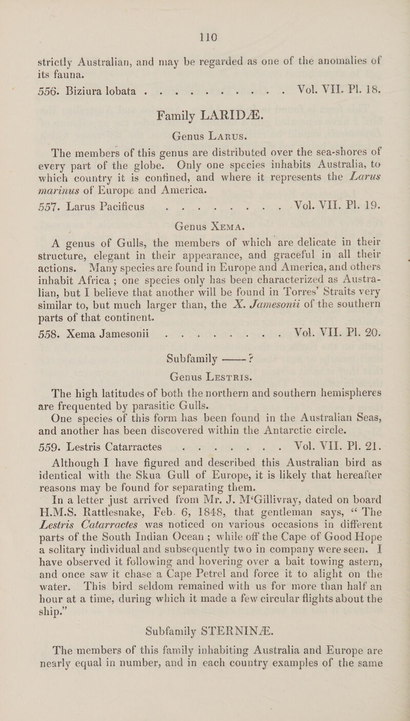 strictly Australian, and may be regarded as one of the anomalies ol its fauna. 556. Biziura lobata Vol. VII. PI. 18. Family LATH D/E. Genus Larus. The members of this genus are distributed over the sea-shores of every part of the globe. Only one species inhabits Australia, to which country it is confined, and where it represents the Larus marinus of Europe and America. 557. Larus Pacificus .Vol. VII. PI. 19. Genus Xema. A genus of Gulls, the members of which are delicate in their structure, elegant in their appearance, and graceful in all their actions. Many species are found in Europe and America, and others inhabit Africa ; one species only has been characterized as Austra¬ lian, but I believe that another will be found in Torres’ Straits very similar to, but much larger than, the X. Jamesonii of the southern parts of that continent. 558. Xema Jamesonii.Vol. VII. PI. 20. Subfamily-? Genus Lestris. The high latitudes of both the northern and southern hemispheres are frequented by parasitic Gulls. One species of this form has been found in the Australian Seas, and another has been discovered within the Antarctic circle. 559. Lestris Catarractes.Vol. VII. PI. 21. Although I have figured and described this Australian bird as identical with the Skua Gull of Europe, it is likely that hereafter reasons may be found for separating them. In a letter just arrived from Mr. J. M‘Gillivray, dated on board H.M.S. Rattlesnake, Feb. 6, 1848, that gentleman says, “ The Lestris Catarractes was noticed on various occasions in different parts of the South Indian Ocean ; while off the Cape of Good Hope a solitary individual and subsequently two in company were seen. I have observed it following and hovering over a bait towing astern, and once saw- it chase a Cape Petrel and force it to alight on the water. This bird seldom remained with us for more than half an hour at a time, during which it made a few circular flights about the ship.” Subfamily STERNIN7E. The members of this family inhabiting Australia and Europe are nearly equal in number, and in each country examples of the same