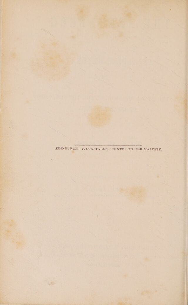 digitised image 2