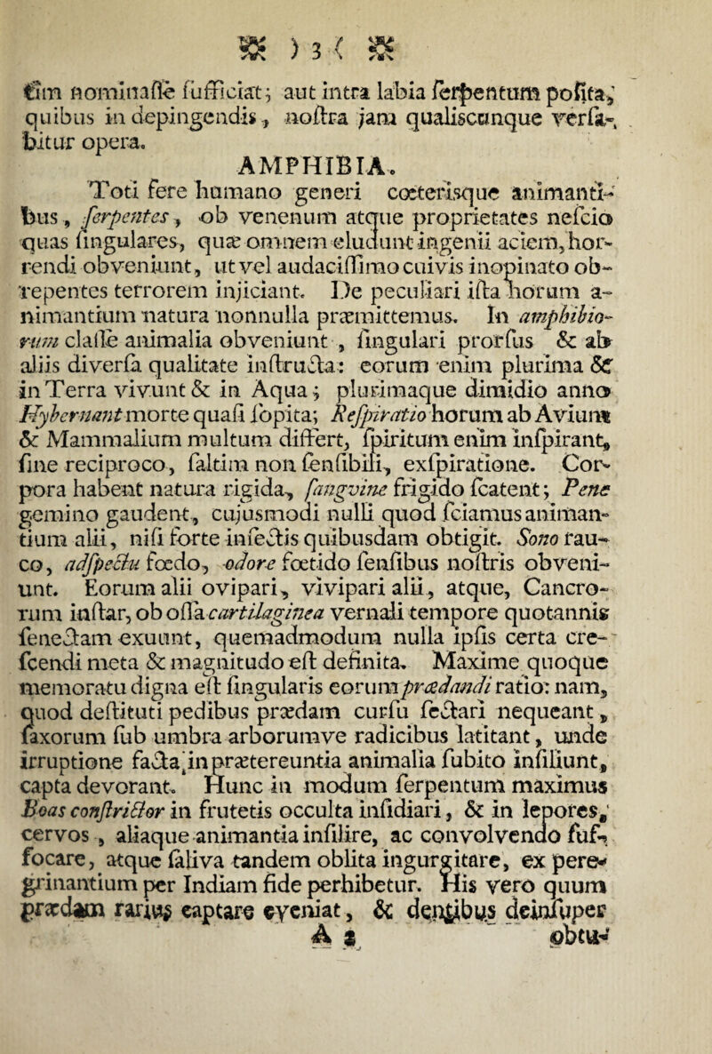 » >3< 5K tlm nominafte fu friciat; aut intra labia fermentum polita, quibus in depingendis, noftra jam qualisccmque feria¬ bitur opem. AMPHIBIA. Toti fere humano generi cocterisque animanti¬ bus , Serpentes, ob venenum atque proprietates nefcia qtias lingulares, quee omnem eludunt ingenii aciem, hor¬ rendi obveniunt, ut vel audaciftimo cuivis inopinato ob¬ repentes terrorem injiciant De peculiari ifta horum a- minantium natura nonnulla promittemus. In amphibio¬ rum claile animalia obveniunt , lingulari prorfus & ab aliis diverfa qualitate inftrufta: eorum enim plurima 8C in Terra vivunt & in Aqua; plurimaque dimidio anno Hybernantmorte quali lopita; Refpiratio horum ab Avium & Mammalium multum differt, fpiritum enim infpirant* fine reciproco, faitim non fenfibili, exfpiratione. Cor¬ pora habent natura rigida,, fangvine frigido fcatent; Pene gemino gaudent, cujusmoai nulli quod fciamusanimam tium alii, nili forte inieffis quibusdam obtigit. Sono rau¬ co, adfpeciu foedo, odore foetido fenfibus noftris obveni¬ unt Eorum alii ovipari, vivipari alii, atque. Cancro¬ rum indar, ob offa, cartilaginea vernali tempore quotannis fenecfamexuunt, quemadmodum nulla ipfis certa cfe-7 fcendi meta & magnitudo eft definita, Maxime quoque memoratu digna eft lingularis eorumpradandi ratio: nam, quod deftituti pedibus prcedam curfu fevftari nequeant „ laxorum lub umbra arborumve radicibus latitant, unde irruptione faffapn praetereuntia animalia fubito infiliunt, capta devorant Hunc in modum ferpentum maximus Boas conftri&or in frutetis occulta infidiari, 6c in lepores, cervos , aliaque animantia infilire, ac convolvendo fuf-> focare, atque lafiva tandem oblita ingurgitare, ex pere* grinantium per Indiam fide perhibetur. His vero quum prardam rarius captare cyeniat, & dep&bus deiniuper A t obtud