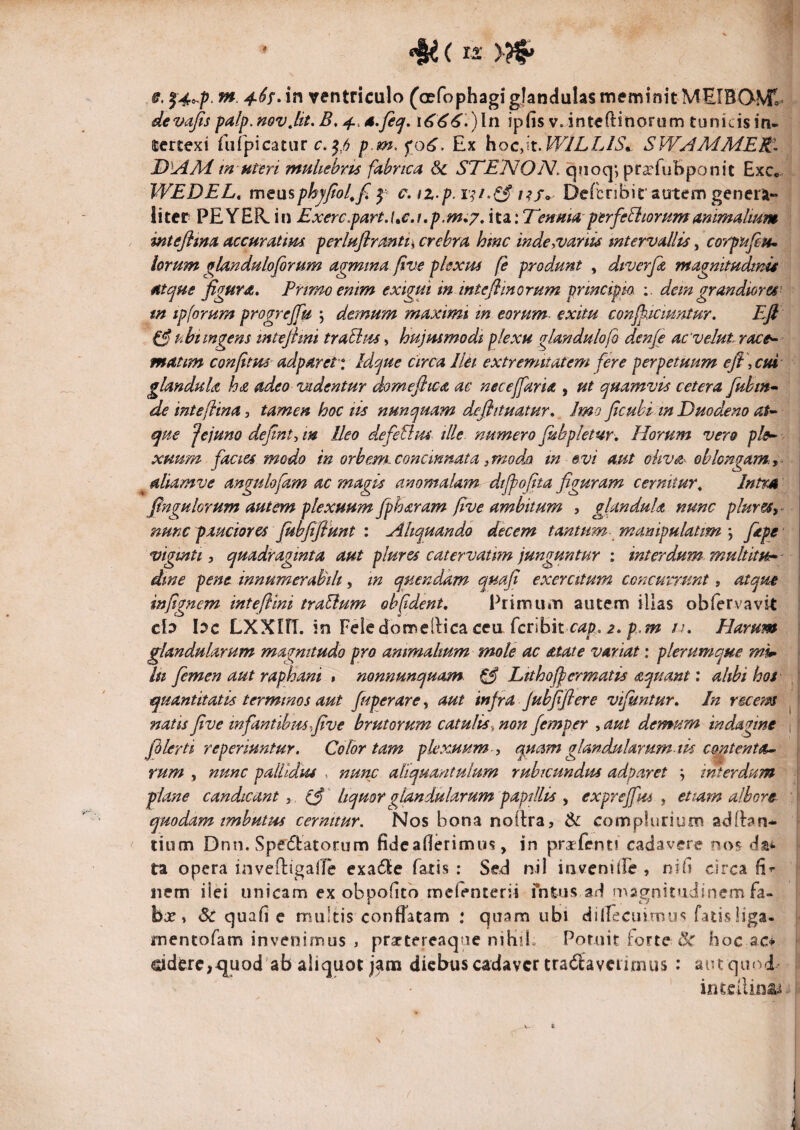 devajis palp.novJit.B.^.s.fi^, i^^^.)ln ipfis v. inteftinorum tunicis in- Icrtexi impicuur c. ^^6 p,m. f Ex hoCyk.WJLLIS^ SWAMMEM-- DlAAd m Hteri muliebris fdbrtca Sc STENON. qnoq; pr^rfubponit ExCc WEDEL, mmsphjjtol^f | c. iz.p. 17/.^ /?/» Defcribir autem genera« liter PEYER in £xerc,part.t»€j,p.m,7, italEeuma perfe&iorumammalium intejhm accuratius perluflrantt^ crebra hme inde^varm mtervallis, corpufiu^ lorum gUndulofirum agmma ftve plexus (e produnt , dtverfa magnitudims atque figura, Prirmemm exigui in intefimorum prmcipm dem grandiores’ m ipforum progrejfu j demum maximi tn eorum exitu confiiciuntur. Ffi pibt ingens mtefiml trabi as, hujusmodi plexu glandulofo denfe acvelut race- matim confitm adpareti Mque circa liet extremitatem fere perpetuum efi \cui glandula ha adeo 'mdentur domefiwa ac neceffaria , ut quamvis cetera fuhtn* deintefiina, tamen hoc tis nunquam defiituatur. Imo ficubi m Duodxno que jejuno defintytn Ileo defefius~ ille, numero fubpletur. Horum vero ple^ XHum facies modo in orbem.concinnata ,m-odM m evi aut oliva- oblongam,,^ ^ aliamve angulofam ac magis anomalam dtfi?o[jta figuram cernitur^ Intm fingulorum autem plexuum fpharam five ambitum , glandula nunc plurss, nunc pauciores fubfifiunt i Aliquando decem tantum manipulatim \ ftpe vigmti i quadraginta aut pfures catervatim junguntur : interdum, multitu^^ dtne pene innumerabili, m qnendkm quafi exercitum concurrunt, atque infignem intefiini trabium obfdent. Primum autem illas obfervavit cb bc LXXin. in Feledomellica ceu feribit lu Harum glandularum magnitudo pro animalium mole ac atate variat: plerumque in femen aut rapEani $ nonnunquam ^ Ltthofpcrmatis aquant: alibi hos quantitatis terminos aut /uperare, aut infra Jubfifi er e vijuntur. In ree em ^ natis five mfantibmfive brutorum catulisy non femper , aut demum indagine \ filerti reperiuntur. Color tam plexuum y quam glandularum-tk contenta^ rum , nunc pallidus , nunc aliquantulum rubicundus adparet ; interdum plane candicant , . ' liquor glandularum papillis , exprejfus j etiam albore : quodam imbutus cernitur. Nos bona noflra, & complurium adlbn- lium Dnn. Spedbatorum fideaflerimus, in pra^fenti cadavere rsos^ dsi ta opera invefliigalTe exa6le fatis: Sed nil invenitre , nili circa nem iiei unicam ex obpofico mefenterii fntus ad nugnituJinem fa- bx , & quafi c mulns confTatam : quam ubi dilfecuimus fatis liga- mentofam invenimus , prsctercaqae nihil. Poruit forte hoc ac* (£iderc,<juod‘ab aliquot dkbus cadaver tradfaveiirnus : aut quod- intcllinai