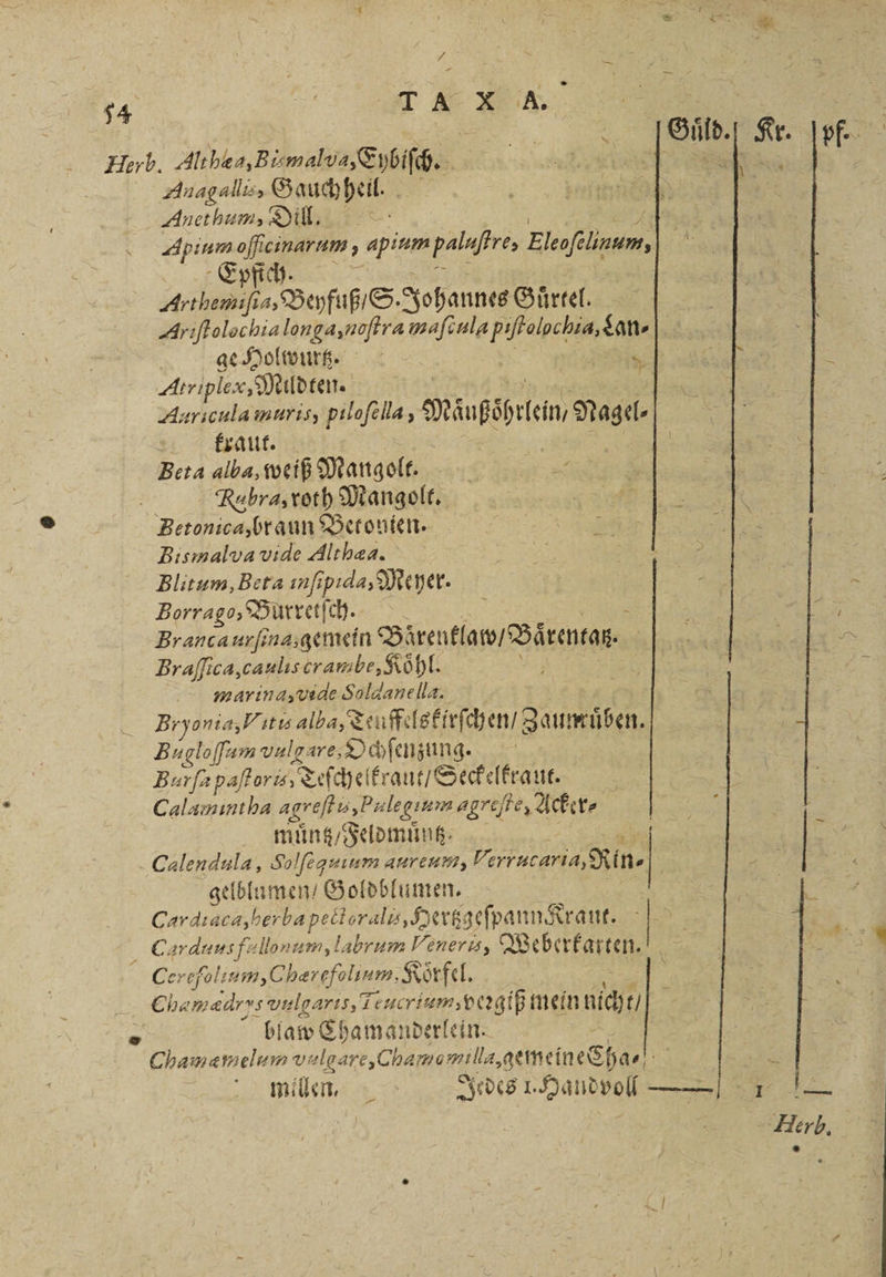 / Anagallis, Funes Apium oſfcinarum, e palaſtre, Elefunun, 125 Epfich. e Beyfuß S. Johannes Gürtel. Ariſtolochia longa, noſtra maſoulg W a ge Holwurtz. — Auricula muris, pilofella, DRänpögeen, Nag kraut. N | Beta al 15 weiß Mangolt. e N Bismalva vide Althæa. Blitum, Beta ınfı pda, Me her. Borrago, Burretſch. | Branca urſina, gemein Birentlatv / Baͤrentaz.⸗ Braſſica, caulis crambe, Koͤhl. zudrina, vide Soldanella. J Bryoni a, Vitis alba, Teuffelskirſchen / Zaumüben. ee vulgare, Ochſenzung. Burſa paſtoris, Teſchelkraut / Seckelkraut. Calamıntha agrejfn, Palegum agrefte, Acker⸗ muͤntz / Feldmuͤntzz Calendula, Solfeguuum aureum, „ i gelblumen⸗ Goldblumen. Cardiacà, ber e e Hertzgeſpann Kraut. 5 ö Carduus fullonum, labrum ener, Weberkarten. erefolsum,Charefolinm, Koͤrfel. Cha mædrs vulgarıs,Te Teucrium, veꝛgiß mein nich t/ N blaw Chamanderlein cChamemelun vulg⸗ chanel gemeine sha millen. Jedes Handvoll ——