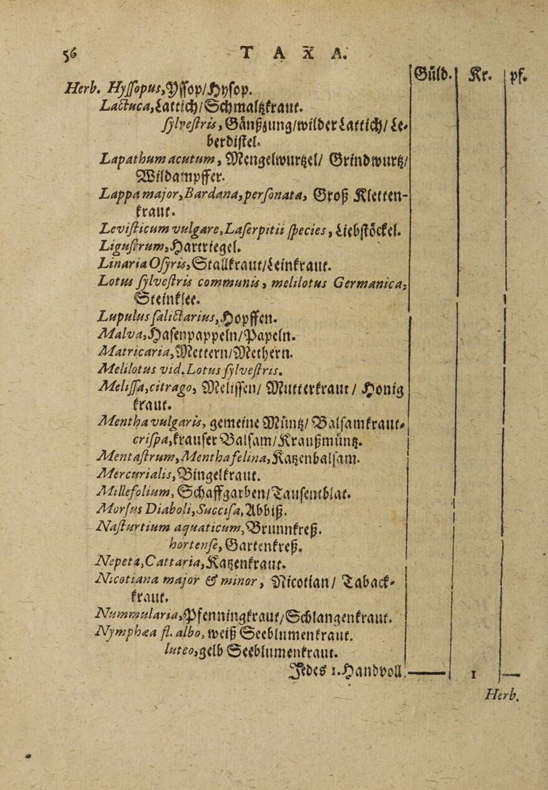 Herb. Hiſſopus, Aſſop / Hyſop. | Laötnca,Sattih1 Schmaltzkraut. Sveftri Sänßsungimwildersareichl Le⸗ berdiſtel. Lapat hum acutum, Mengelwurtzel / Grind wurtz / Wildampffer. N . major, Bardana, perſonata, Groß Kieteen-| kraut. Leviſticum vulgare, Laſerpitii fbecies, Liebſtoͤckel. Liguſtrum, Hartriegel. Linaria Oris, Stalltraut / Leinkraut. Lotus fylveftris communis, melılotus Germanica; Steinklee. N | ö Lupulus ſalictarius, Hopffen. IR, | 4 Malva, Haſenpappeln / Papeln. nF Matricaria, Mettern / Methern. N ES | Mielilotus vid. Lotus fylveftris. Meliſſa, citrago, Meliſſen / Mae Honig 5 4 kraut. Mentha vulgaris, gemeine Muͤntz / Balſamkraut⸗ C̃iſpa, krauſer Balſam / Kraußmuͤntz. Mentaſtrum, Mentha felina, Ratzenbalſ. am. ö Aercurialis, Bingelkraut. . Millefolium, Schaft: garben Tauſentbl at. 0 Morſus Diaboli, Succiſe 4, Abbiß. | 5 | Maſturtium aquaticum, Brunnkreß. Hortenſe, Gartenkreß. Nepeta, 8 altaria, Katenkrau f» \ 1 e major &amp; minor, Nicotlan / Taback⸗ rauf, Nummalaria Pfenningtraut, Schlangenkraut. Mimphæa fl. albo, weiß Seeblumenkraut. lateo, gelb Seeblumenkraut. Jedes 1. Handvoll. — 1 — Herb.