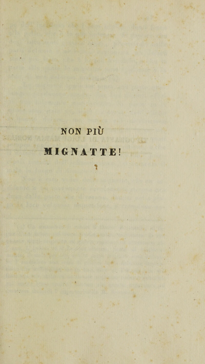 NON PIÙ MIGNATTE y