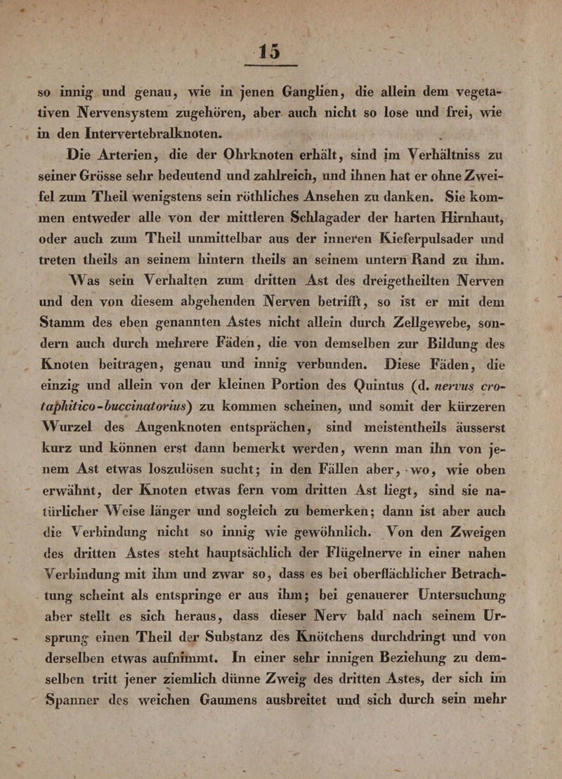 so innig’ und genau, wie in jenen Ganglien, die allein dem vegeta¬ tiven Nervensystem zugehören, aber auch nicht so lose und frei, wie in den Intervertebralknoten. Die Arterien, die der Ohrknoten erhalt, sind im Verhältnis zu seiner Grösse sehr bedeutend und zahlreich, und ihnen hat er ohne Zwei¬ fel zum Theil wenigstens sein röthliches Ansehen zu danken. Sie kom¬ men entweder alle von der mittleren Schlagader der harten Hirnhaut, oder auch zum Theil unmittelbar aus der inneren Kieferpulsader und treten theils an seinem hintern theils an seinem untern Rand zu ihm. Was sein Verhalten zum dritten Ast des dreigetheilten Nerven und den von diesem abgehenden Nerven betrifft, so ist er mit dem Stamm des eben genannten Astes nicht allein durch Zellgewebe, son¬ dern auch durch mehrere Faden, die von demselben zur Bildung des Knoten beitragen, genau und innig verbunden. Diese Faden, die einzig und allein von der kleinen Portion des Quintus (d. nervus cro- taphitico-buccinatoriiis) zu kommen scheinen, und somit der kürzeren Wurzel des Augenknoten entsprächen, sind meistentheils äusserst kurz und können erst dann bemerkt werden, wenn man ibn von je¬ nem Ast etwas loszulösen sucht; in den Fällen aber, wo, wie oben erwähnt, der Knoten etwas fern vom dritten Ast liegt, sind sie na¬ türlicher Weise länger und sogleich zu bemerken; dann ist aber auch die Verbindung nicht so innig wie gewöhnlich. Von den Zweigen des dritten Astes steht hauptsächlich der Flügelnerve in einer nahen Verbindung mit ihm und zwar so, dass es bei oberflächlicher Betrach¬ tung scheint als entspringe er aus ihm; bei genauerer Untersuchung aber stellt es sich heraus, dass dieser Nerv bald nach seinem Ur¬ sprung einen Theil der Substanz des Knötchens durchdringt imd von derselben etwas aufnimmt. In einer sehr innigen Beziehung zu dem¬ selben tritt jener ziemlich dünne Zweig des dritten Astes, der sich im Spanner des weichen Gaumens ausbreitet und sich durch sein mehr