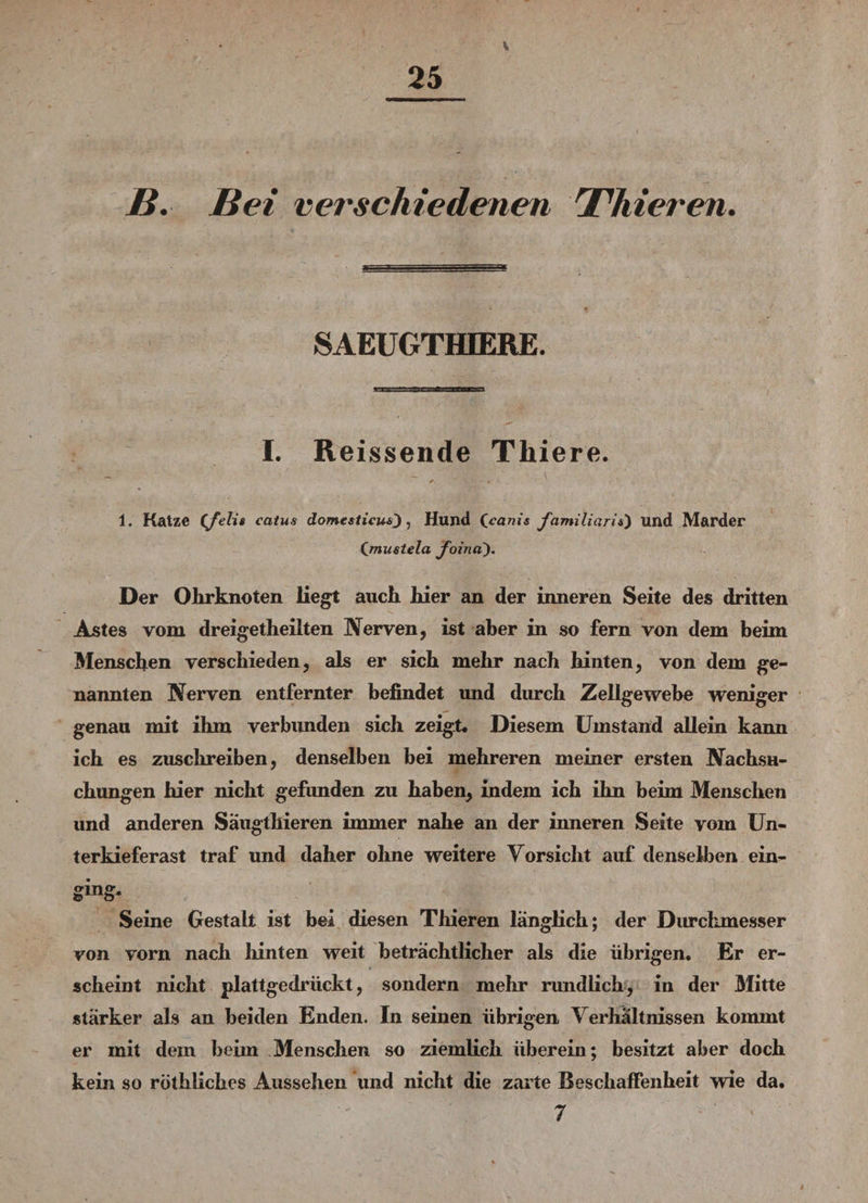 B. Bei verschiedenen Thieren. SAEUGTHIERE. I. Reissende Thiere. 1. Katze (feli« catus domesticua), Hund ^canis familiäris) Und Marder (mustela foina). Der Ohrknoten liegt auch hier an der inneren Seite des dritten Astes vom dreigetheilten Nerven, ist aber in so fern von dem beim Menschen verschieden, als er sich mehr nach hinten, von dem ge¬ nannten Nerven entfernter befindet imd durch Zellgewebe weniger genau mit ihm verbunden sich zeigt« Diesem Umstand allein kann ich es zuschreiben, denselben bei mehreren meiner ersten Nachsu- chungen hier nicht gefunden zu haben, indem ich ihn beim Menschen und anderen Säugthier en immer nahe an der inneren Seite vom Un¬ terkieferast traf und daher ohne weitere Vorsicht auf denselben ein- ging* Seine Gestalt ist bei diesen Thieren länglich; der Durchmesser von vorn nach hinten weit beträchtlicher als die übrigen. Er er¬ scheint nicht plattgedrückt, sondern mehr rundlich, in der Mitte stärker als an beiden Enden. In seinen übrigen Verhältnissen kommt er mit dem beim Menschen so ziemlich überein; besitzt aber doch kein so röthliches Aussehen und nicht die zarte Beschaffenheit wie da. 7