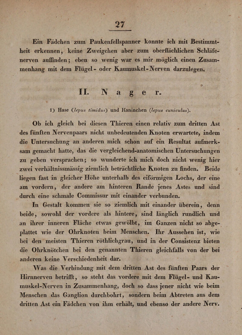 Ein Fad dien zum Paukenfellspanner konnte ick mit Bestimmt¬ heit erkennen, keine Zweigcken aber zum oberflächlichen Schläfe¬ nerven aufiinden; eben so wenig war es mir möglich einen Zusam¬ menhang mit dem Flügel- oder Kaumuskel-Nerven darzulegen. ti II. N a g e r. 1) Hase Clepus iimidus) und Kaninchen (le-pus cuniculua). Ob ich gleich bei diesen Thieren einen relativ zum dritten Ast des fünften Nervenpaars nicht unbedeutenden Knoten erwartete, indem die Untersuchung an anderen mich schon auf ein Resultat aufmerk¬ sam gemacht hatte, das die vergleichend-anatomischen Untersuchungen zu geben versprachen; so wunderte ich mich doch nicht wenig liier zwei verhaltnissmässig ziemlich beträchtliche Knoten zu finden. Beide liegen fast in gleicher Höhe unterhalb des eiförmigen Lochs, der eine am vordem, der andere am hinteren Rande jenes Astes und sind durch eine schmale Commissur mit einander verbunden. In Gestalt kommen sie so ziemlich mit einander überein, denn beide, sowohl der vordere als hintere, sind länglich rundlich und an ihrer inneren Fläche etwas gewölbt, im Ganzen nicht so abge¬ plattet wie der Ohrknoten beim Menschen. Ihr Aussehen ist, wie bei den meisten Thieren röthlichgrau, und in der Consistenz bieten die Ohrknötchen bei den genannten Thieren gleichfalls von der bei anderen keine Verschiedenheit dar. Was die Verbindung mit dem dritten Ast des fünften Paars der Hiranerven betrifft, so steht das vordere mit dem Flügel- und Kau¬ muskel-Nerven in Zusammenhang, doch so dass jener nicht wie beim Menschen das Ganglion durchbohrt, sondern beim Ab treten aus dem dritten Ast ein Fädchen von ihm erhält, und ebenso der andere Nerv.