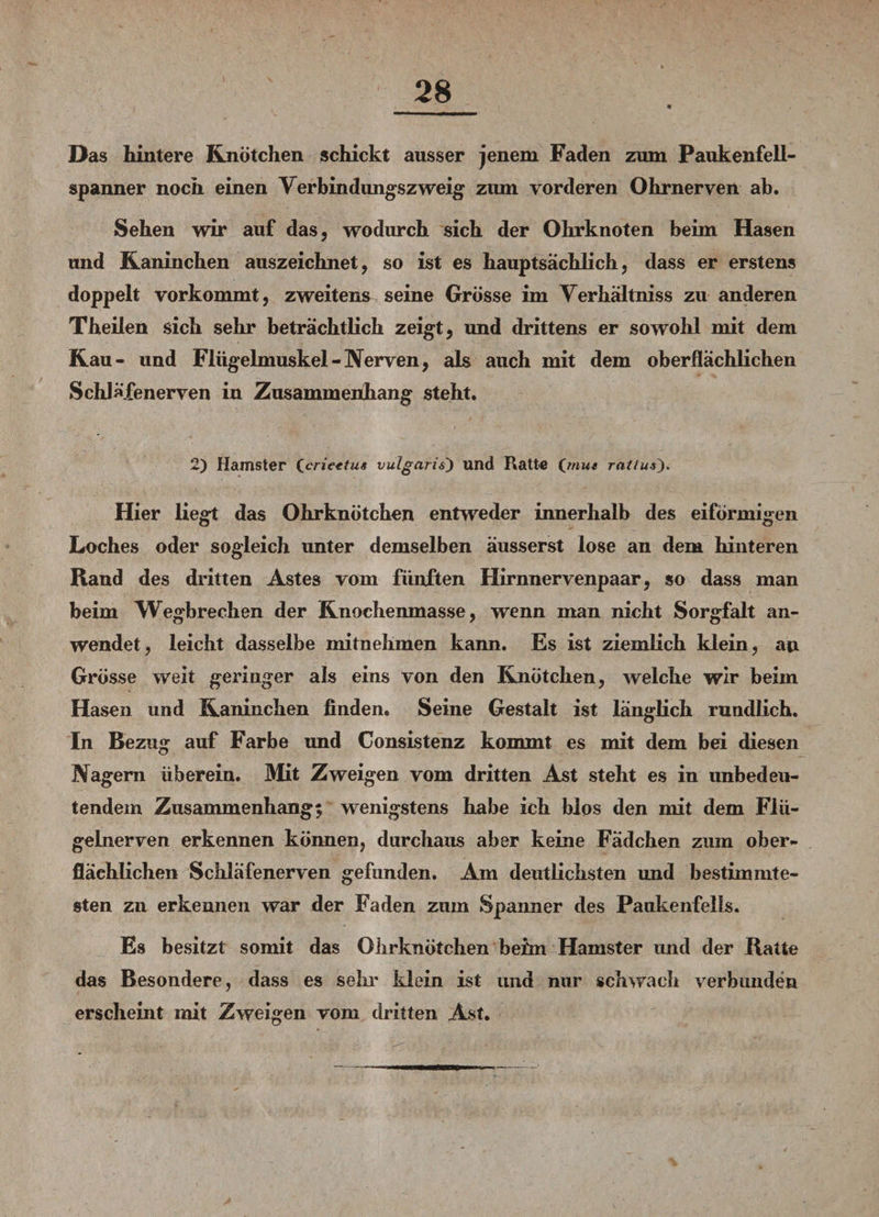 Das hintere Knötchen schickt ausser jenem Faden zum Paukenfell¬ spanner noch einen Verbindungszweig zum vorderen Ohrnerven ab. Sehen wir auf das, wodurch sich der Ohrknoten beim Hasen und Kaninchen auszeichnet, so ist es hauptsächlich, dass er erstens doppelt vorkommt, zweitens seine Grösse im Verhältnis zu anderen Theilen sich sehr beträchtlich zeigt, und drittens er sowohl mit dem Kau- und Flügelmuskel-Nerven, als auch mit dem oberflächlichen Schläfenerven in Zusammenhang steht. 2) Hamster Ceriettus vulgaris) und Ratte (raut ratlus'). Hier liegt das Ohrknötchen entweder innerhalb des eiförmigen Loches oder sogleich unter demselben äusserst lose an dem hinteren Rand des dritten Astes vom fünften Hirnnervenpaar, so dass man beim Wegbrechen der Knochenmasse, wenn man nicht Sorgfalt an¬ wendet, leicht dasselbe mitnehmen kann. Es ist ziemlich klein, an Grösse weit geringer als eins von den Knötchen, welche wir beim Hasen und Kaninchen finden. Seine Gestalt ist länglich rundlich. In Bezug auf Farbe und Consistenz kommt es mit dem bei diesen Nagern überein. Mit Zweigen vom dritten Ast steht es in unbedeu¬ tendem Zusammenhang; wenigstens habe ich blos den mit dem Flü¬ gelnerven erkennen können, durchaus aber keine Fädchen zum ober¬ flächlichen Schläfenerven gefunden. Am deutlichsten und bestimmte¬ sten zu erkennen war der Faden zum Spanner des Pankenfells. Es besitzt somit das Ohrknötchen beim Hamster imd der Ratte das Besondere, dass es sein' klein ist und nur schwach verbunden erscheint mit Zweigen vom dritten Ast.