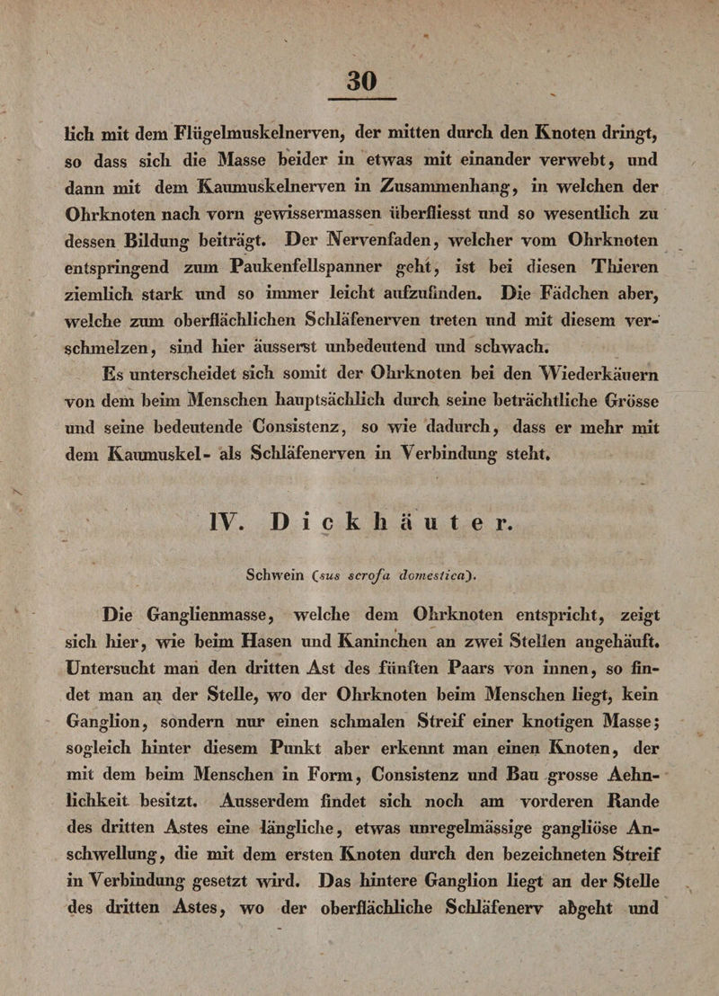 lieh mit dem Flügelmuskelnerven, der mitten durch den Knoten dringt, so dass sich die Masse beider in etwas mit einander verwebt, und dann mit dem Kaumuskelnerven in Zusammenhang, in welchen der Ohrknoten nach vorn gewissermassen überfiiesst und so wesentlich zu dessen Bildung beiträgt. Der Nervenfaden, welcher vom Ohrknoten entspringend zum Paukenfellspanner geht, ist bei diesen Thieren ziemlich stark und so immer leicht aiifzufmdem Die Fädchen aber, welche zum oberflächlichen Schläfenerven treten und mit diesem ver¬ schmelzen, sind hier äusserst unbedeutend und schwach. Es unterscheidet sich somit der Ohrknoten bei den Wiederkäuern von dem beim Menschen hauptsächlich durch seine beträchtliche Grösse und seine bedeutende Consistenz, so wie dadurch, dass er mehr mit dem Kaumuskel- als Schläfenerven in Verbindung steht. IV. Dickhäuter. Schwein (.sus scrofa dojneslica). Die Ganglienmasse, welche dem Ohrknoten entspricht, zeigt sich hier, wie beim Hasen und Kaninchen an zwei Stellen angehäuft. Untersucht man den dritten Ast des fünften Paars von innen, so fin¬ det man an der Stelle, wo der Ohrknoten beim Menschen liegt, kein Ganglion, sondern nur einen schmalen Streif einer knotigen Masse; sogleich hinter diesem Punkt aber erkennt man einen Knoten, der mit dem beim Menschen in Form, Consistenz und Bau grosse Aehn- lichkeit besitzt. Ausserdem findet sich noch am vorderen Rande des dritten Astes eine längliche, etwas unregelmässige gangliöse An¬ schwellung, die mit dem ersten Knoten durch den bezeichneten Streif in Verbindung gesetzt wird. Das hintere Ganglion liegt an der Stelle des dritten Astes, wo der oberflächliche Schläfenerv abgeht und