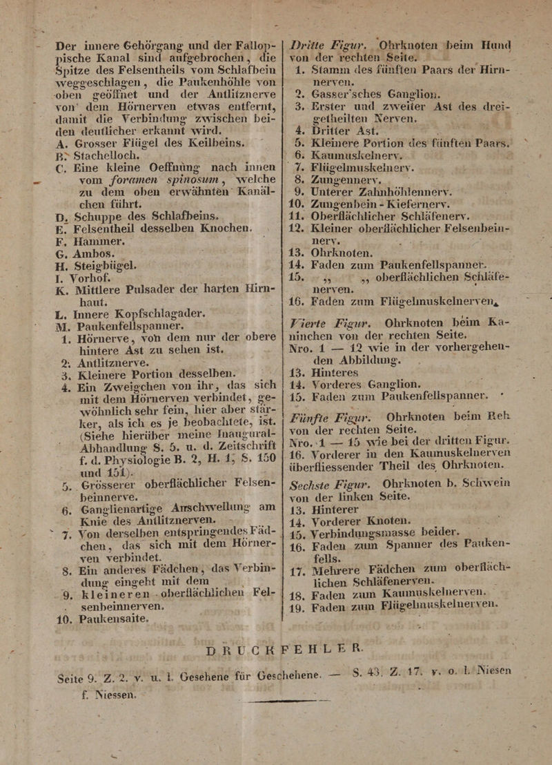 Der innere Gehörgang und der Fallop- pische Kanal sind aufgebrochen, die Spitze des Felsentheils vom Schlafbein weggeschlagen, die Paukenhöhle von oben geöffnet und der Antlitznerve von dem Hörnerven etwas entfernt, damit die Verbindung zwischen bei¬ den deutlicher erkannt wird. A. Grosser Flügel des Keilbeins. IC Sfachelloch. C. Eine kleine Oeffnüng nach innen vom foramen spinosum, welche zu dem oben erwähnten Kanäl¬ chen fuhrt. D. Schuppe des Schlafbeins. e7 Felsentheil desselben Knochen, F. Hammer. G. Ambos. H. Steigbügel. I. Yorhof. K. Mittlere Pulsader der harten Hirn¬ haut. L. Innere Kopfschlagader. M. Paukenfellspaimer. 1. Hörnerve, voll dem nur der obere hintere Ast zu sehen ist. 2; Antlitznerve. 3. Kleinere Portion desselben. 4. Ein Zweigchen von ihr, das sich mit dem Hörnerven verbindet, ge¬ wöhnlich sehr fein, hier aber stär¬ ker, als ich es je beobachtete, ist. (Siehe hierüber meine Inaugural- Abhandlung S. 5. u. d. Zeitschrift f. d. Physiologie B. 2, H. 1, S. 150 und 151). 5. Grösserer oberflächlicher Felsen¬ beinnerve. 6. Ganglienartige Anschwellung am Knie des Antlitznerven.  7, Von derselben entspringendes Fäd- chen, das sich mit dem Hörner¬ ven verbindet. 8. Ein anderes Fädchen, das Verbin¬ dung eingeht mit dem 9. kleineren oberflächlichen Fel¬ senbeinnerven. 10. Paukensaite, Dritte Figur. Ohrknoten beim Hund von der rechten Seite. 1. Stamm des fünften Paars der Hirn¬ nerven. 2. Gasser'sches Ganglion. 3. Erster und zweiter Ast des drei- getheilten Nerven. 4. Dritter Ast. 5. Kleinere Portion des fünften Paars. 6. Kaumuskelnerv. 7. Flügelmuskelnerv. 8. Zimgennerv. 9. Unterer Zahnhöhlennerv. 10. Zungenbein - Kiefernerv. 11. Oberflächlicher Schläfenerv. 12. Kleiner oberflächlicher Felsenbein¬ nerv. . . 13. Ohrknoten. 14. Faden zum Pauken fellspann ei:. 15. ,, ,, oberflächlichen Schläfe¬ nerven. * 16. Faden zum Flügelmuskelnerven* Tierte Figur. Ohrknoten beim Ka¬ ninchen von der rechten Seite. Nro. 1 — 12 wie in der vorhergehen¬ den Abbildung. 13. Hinteres 14. Vorderes Ganglion. 15. Faden zum Paidienfellspanner. ’ Fünfte Figur. Ohrknoten beim Reh von der rechten Seite. Nro. 1 — 15 wie bei der dritten Figur. 16. Vorderer in den Kaumuskelnerven überfliessender Theil des Ohrknoten. Sechste Figur. Ohrknoten b. Schwein von der linken Seite. 13. Hinterer 14. Vorderer Knoten. 15. Verbindimgsmasse beider. 16. Faden zum Spanner des Pauken- felis. v u 17. Mehrere Fädchen zum oberfläch¬ lichen Schläfenerven. 18. Faden zum Kaumuskelnerven, io! Faden zum Fbigelmuskelnerven, DRUCKFEHLER. S. 43; Z. 17. v. o. 1. Niesen Seite 9. Z. 2. v. u, 1. Gesehene für Geschehene. — f. INiessen.