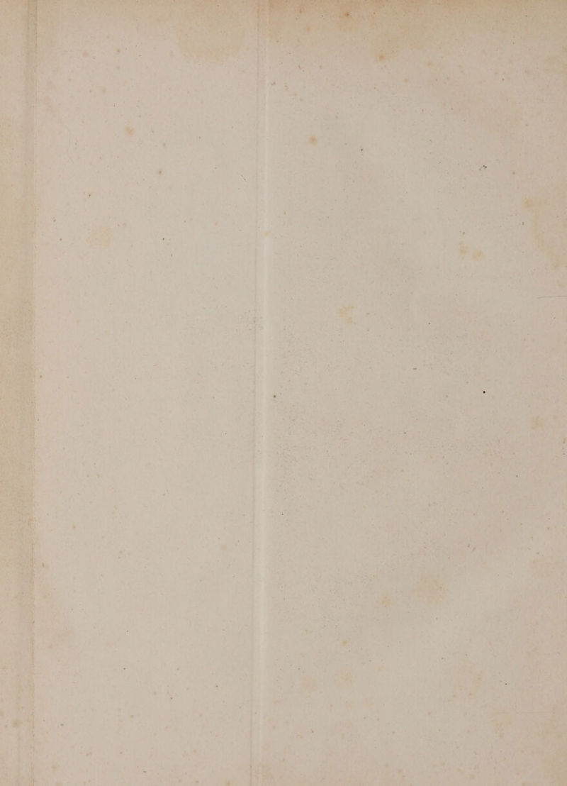 •• 7 ; ; *• \ \ \ %