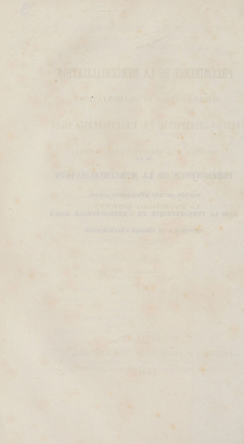 ^ I l ■ g-JF?? . ' *•* - - , . ' . . . -■' . 1 /