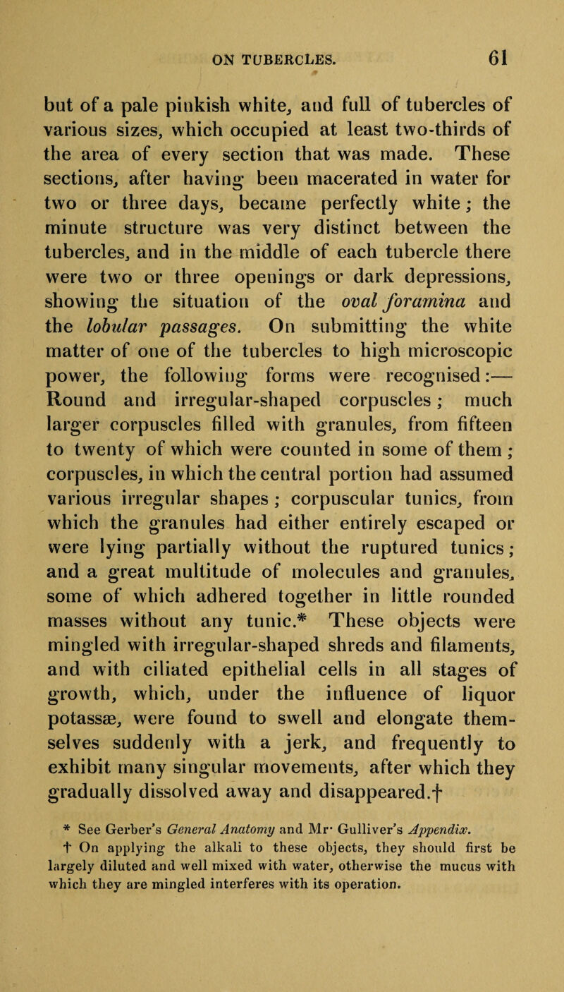 but of a pale pinkish white,, and full of tubercles of various sizes, which occupied at least two-thirds of the area of every section that was made. These sections, after having been macerated in water for two or three days, became perfectly white; the minute structure was very distinct between the tubercles, and in the middle of each tubercle there were two or three openings or dark depressions, showing the situation of the oval foramina and the lobular passages. On submitting the white matter of one of the tubercles to high microscopic power, the following forms were recognised:— Round and irregular-shaped corpuscles; much larger corpuscles filled with granules, from fifteen to twenty of which were counted in some of them ; corpuscles, in which the central portion had assumed various irregular shapes ; corpuscular tunics, from which the granules had either entirely escaped or were lying partially without the ruptured tunics; and a great multitude of molecules and granules, some of which adhered together in little rounded masses without any tunic.* These objects were mingled with irregular-shaped shreds and filaments, and with ciliated epithelial cells in all stages of growth, which, under the influence of liquor potassae, were found to swell and elongate them¬ selves suddenly with a jerk, and frequently to exhibit many singular movements, after which they gradually dissolved away and disappeared.f * See Gerber’s General Anatomy and Mr1 Gulliver’s Appendix. t On applying the alkali to these objects, they should first be largely diluted and well mixed with water, otherwise the mucus with which they are mingled interferes with its operation.