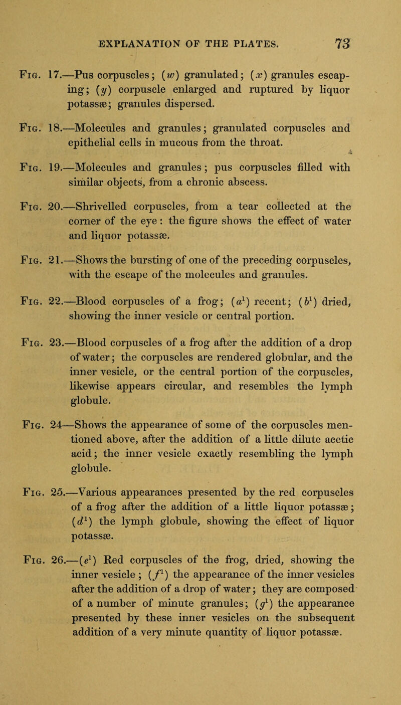 Fig. 17.—Pus corpuscles; (w) granulated; (or) granules escap¬ ing; (y) corpuscle enlarged and ruptured by liquor potass®; granules dispersed. Fig. 18.—Molecules and granules; granulated corjmscles and epithelial cells in mucous from the throat. 4i Fig. 19.—Molecules and granules; pus corpuscles filled with similar objects, from a chronic abscess. Fig. 20.—Shrivelled corpuscles, from a tear collected at the corner of the eye: the figure shows the effect of water and liquor potass®. Fig. 21.—Shows the bursting of one of the preceding corpuscles, with the escape of the molecules and granules. Fig. 22.—Blood corpuscles of a frog; (a1) recent; (61) dried, showing the inner vesicle or central portion. Fig. 23.—Blood corpuscles of a frog after the addition of a drop of water; the corpuscles are rendered globular, and the inner vesicle, or the central portion of the corpuscles, likewise appears circular, and resembles the lymph globule. Fig. 24—Shows the appearance of some of the corpuscles men¬ tioned above, after the addition of a little dilute acetic acid; the inner vesicle exactly resembling the lymph globule. Fig. 25.—Various appearances presented by the red corpuscles of a frog after the addition of a little liquor potass®; (d1) the lymph globule, showing the effect of liquor potass®. Fig. 26.—(e1) Red corpuscles of the frog, dried, showing the inner vesicle ; (f1) the appearance of the inner vesicles after the addition of a drop of water; they are composed of a number of minute granules; (g1) the appearance presented by these inner vesicles on the subsequent addition of a very minute quantity of liquor potass®.