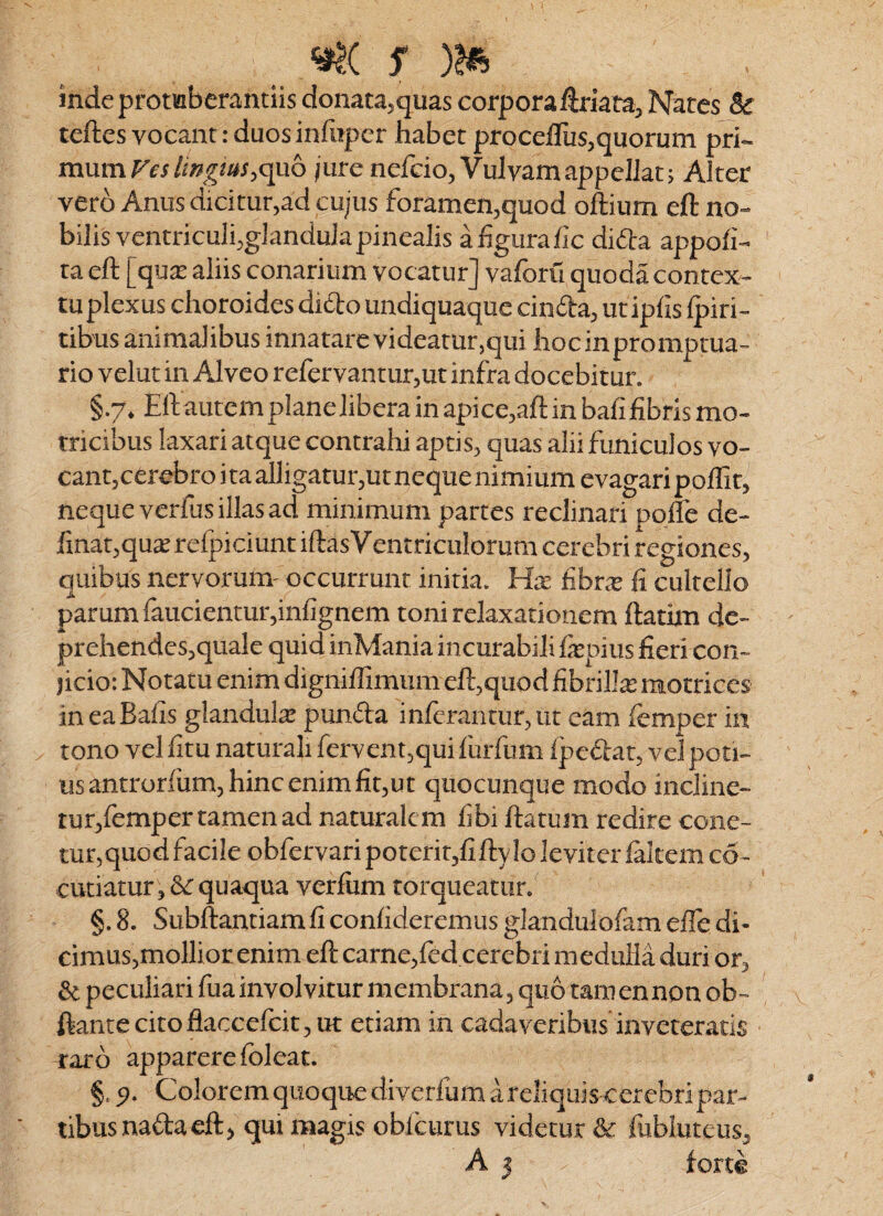 .. ^ indcprotaberantiis donatajquas corporaliriata. Nares 8c teftes vocant: duos infuper habet procefliis,quorum pri¬ mum quo ;ure nefcio, Vulvam appellat; Alter vero Anus dicitur,ad cujus foramen,quod oftium eft no¬ bilis ventriculi,glandula pinealis afigura/ic di(5!:a appofi- ra eft [qua: aliis conarium vocatur] vaforu quoda contex¬ tu plexus choroides diftoundiquaque cinda, utipfis Ipiri- tibus animalibus innatare videatur,qui hocin promptua¬ rio velut in Alveo refervantur,ut infra docebitur. §.7. EftautemplaneJiberainapice,aftinbahfibrismo- tricibus laxari atque contrahi aptis, quas alii funiculos vo- cant,cerebro ita alligatur,ut neque nimium evagari poffit, neque verfus illas ad minimum parces reclinari polle de- fmat,qu2 refpiciunt iftasVentriculorum cerebri regiones, quibus nervorum- occurrunt initia. Ha: fibrae fi cultello parum faucientur,infignem toni relaxationem ftatim de¬ prehendes,quale quid inMania incurabili fepius fieri con¬ jicio; Notatu enim digniftimum eft,quod fibrilla motriees ineaBafis glandula punda inferantur,ut eam femper in tono vel fitu naturali fervent,qui 1'urfum Ipedat, vel poti¬ us antrorfum, hinc enim fit, ut quocunque modo incline- rur,femper tamen ad naturalem fibi ftatum redire cone- tur,quod facile obfervari poterit,fifty lo leviter laltem c6- cutiatur , & quaqua verfiim torqueatur. §. 8. Subftantiam fi confideremus glandulofam efle di¬ cimus,mollior enim eft carne,led cerebri meduHa duri or, & peculiari fua involvitur membrana, quo tam en nonob- flancecitoflaccefeit, ut etiam in cadaveribus inveteratis ^aro apparere Ibleat. §. p. Colorem quoque diverfum a reliquis cerebri par¬ tibus nada eft, qui magis oblcurus videtur & fublutcus, A } forte