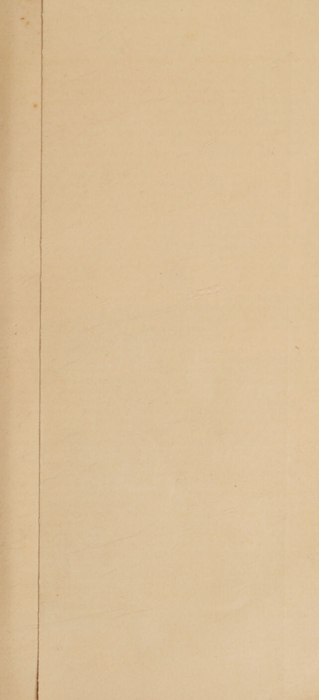 digitised image 1