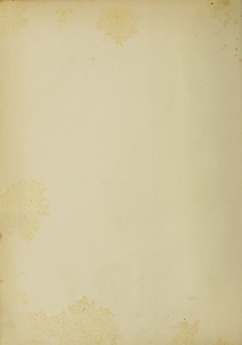 > . L • ' * *> «■ »