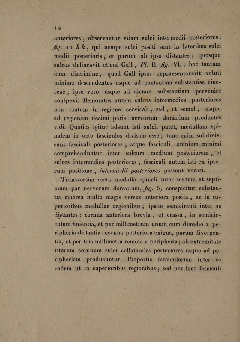 anteriores, observantur etiam sulci intermedii posteriores , fg. 10 h h , qui nempe sulci positi sunt in lateribus sulei medii posterioris, et parum ab ipso distantes; quosque sulcos delineavit etiam Gall, P4 IL. fg. VI. , hoc tantum cum discrimine, quod Gall ipsos repraesentaverit veluti minime descendentes usque ad contactum substantiae cine- reae , ipse vero usque ad dictam substantiam ' pervenire conspexi. Memoratos autem suleos intermedios posteriores. non tantum in regione cervicali, sed , et semel , usque ad regionem decimi paris nervorum dorsalium . productos vidi. Quoties igitur adsunt isti sulci, patet, medullam spi- nalem in octo fasciculos divisam esse; tunc enim subdivisi sunt fasciculi posteriores ; atque fasciculi. omnium minimi comprehenduntur inter suleum | medium posteriorem , et sulcos intermedios posteriores ; fasciculi autem isti ex ipso- rum positione , ZnZermiedii posteriores possent vocari. Transversim secta medulla spinali inter sextum et septi- mum par nervorum dorsalium, fg. 5, conspicitur substan- tia cinerea multo magis versus anteriora posita , ac in su- perioribus medullae regionibus ; ipsius semicirculi inter se distantes : cornua anteriora brevia , et crassa , in semicir- culum finientia, et per millimetrum unum cum dimidio a. pe- ripheria distantia: cornua posteriora'exigua, parum divergen- tia, et per tria millimetra remota a peripheria ; ab extremitate - istorum cornuum sulci collaterales posteriores usque ad pe- ripheriam | producuntur. Proportio fasciculorum inter se eadem ut in superioribus regionibus ; sed hoc loco fasciculi