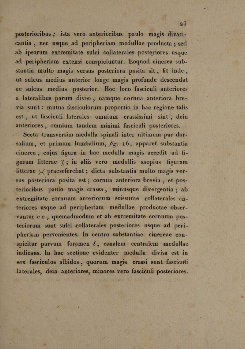 posterioribus ;. ista vero anterioribus paulo magis divari-- cantia , nec usque ad peripheriam medullae producta ; sed ab ipsorum extremitate sulci éollaterales posteriores usque ad peripheriam extensi conspiciuntur. Eoquod cinerea sub- stantia multo magis versus posteriora posita sit, fit inde, ut sulcus medius anterior longe magis profunde descendat ac sulcus medius posterior. Hoc loco fasciculi anteriores lateralibus parum divisi, namque cornua anteriora bre- via sunt : mutua fasciculorum proportio in hac regione talis est , ut fasciculi laterales. omnium. crassissimi sint , dein anteriores, omnium tandem minimi fasciculi posteriores. Secta transversim medulla spinali inter ultimum par dor- salium, et primum lumbalium, frg. 16, apparet substantia cinerea , cujus figura in hac medulla magis accedit ad fi- guram litterae. X ; in aliis vero medullis saepius figuram litterae ).( praeseferebat ; dicta substantia multo magis ver- sus posteriora posita est; cornua anteriora brevia , et pos- terioribus paulo magis crassa, minusque divergentia ; ab extremitate cornuum anteriorum scissurae idllstéiles: an- teriores usque ad peripheriam medullae productae obser- vantur c c , quemadmodum et ab extremitate cornuum pos- teriorum. sunt sulci collaterales posteriores usque ad peri- pheriam pervenientes. In centro substantiae cinereae con- 'sSpicitur parvum foramen Z, canalem. centralem medullae indicans. In hac sectione evidenter medulla divisa est in sex fasciculos albidos, quorum magis crassi sunt fasciculi - laterales, dein anteriores, minores vero fasciculi: posteriores.