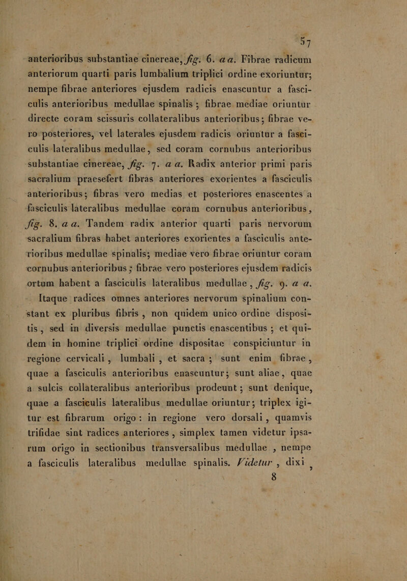 anteriorum quarti paris lumbalium triplici ordine exoriuntur; nempe fibrae anteriores ejusdem radicis enascuntur a fasci- culis anterioribus medullae spinalis ; fibrae. mediae oriuntur . directe coram scissuris collateralibus anterioribus; fibrae ve- ro posteriores, vel laterales ejusdem radicis oriuntur a fasci- culis lateralibus medullae, sed coram cornubus anterioribus substantiae cinereae, frg. 7. a a. Radix anterior primi paris sacralium praesefert fibras anteriores exorientes a fasciculis anterioribus; fibras vero medias et posteriores enascentes a fasciculis lateralibus medullae coram cornubus anterioribus , Jig. 8. a a. Tandem radix anterior quarti paris nervorum sacralium fibras habet anteriores exorientes a fasciculis ante- rioribus medullae spinalis; mediae vero fibrae oriuntur coram cornubus anterioribus ; fibrae vero posteriores ejusdem radicis ortum habent a fascicülis lateralibus medullae, fig. 9. « a. Itaque radices omnes anteriores nervorum spinalium con- stant ex pluribus fibris , non quidem unico ordine disposi- tis, sed in diversis medullae punctis enascentibus ; et qui- dem in homine triplici ordine dispositae conspiciuntur in regione cervicali , lumbali , et sacra ; sunt enim fibrae, quae a fasciculis anterioribus enascuntur; sunt aliae, quae a sulcis collateralibus anterioribus prodeunt; sunt denique, quae a fascieulis lateralibus medullae oriuntur; triplex igi- tur est fibrarum origo: in regione vero dorsali, quamvis trifidae sint radices anteriores , simplex tamen videtur ipsa- rum origo in sectionibus transversalibus medullae , nempe a fasciculis lateralibus medullae spinalis. detur , dixi í 8