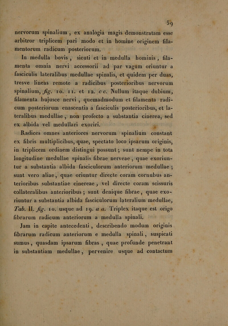 Tbe  Ire *. 39 nervorum spinalium , ex analogia magis demonstratam esse arbitror triplicem | pari modo et in homine enim fila- In medulla bovis, sicuti et in sedat hominis, fila- menta omnia nervi accessorii ad par vagüm oriuntur a fasciculis lateralibus medullae spinalis, et quidem per duas, tresve lineas remote a radicibus posterioribus nervorum filamenta hujusce. nervi , quemadmodum et filamenta radi- cum posteriorum enascentia a fasciculis posterioribus, et la- teralibus medullae , non profecto a substantia cinerea, sed ex albida vel medullari exoriri. .-  Radices omnes anteriores nervorum 'spinalium constant ex fibris multiplicibus, quae, spectato loco ipsarum originis, in triplicem ordinem distingui possunt ; sunt nempe in tota longitudine medullae spinalis fibrae nerveae , quae exoriun- tur a substantia albida fasciculorum anteriorum medullae ; sunt vero aliae, quae oriuntur directe coram cornubus an- terioribus substantiae cinereae , vel directe coram scissuris collateralibus anterioribus ; sunt denique fibrae, quae exo- riuntur a substantia albida fasciculorum lateralium medullae, Tab. M. fig. 10. usque ad 19. a a. Triplex itaque est que» fibrarum radicum anteriorum a medulla spinali. Jam in capite antecedenü , describendo modum originis fibtarum radicum anteriorum e medulla spinali, suspicati sumus, quasdam ipsarum fibras , quae profunde penetrant in substantiam medullae, pervenire usque ad contactum