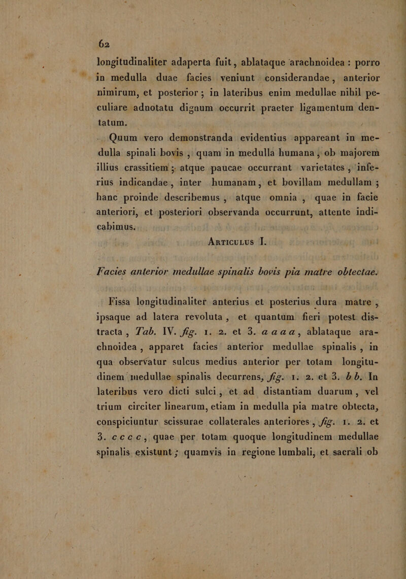 longitudinaliter adaperta fuit, ablataque arachnoidea : porro nimirum, et posterior ; in lateribus enim medullae nihil pe- culiare adnotatu dignum occurrit praeter ligamentum den- tatum. Quum vero demonstranda | evidentius appareant in me- dulla. spinali bovis ,, quam in medulla humana , ob majorem rius indicandae, inter humanam, et bovillam medullam ; hanc proinde describemus ,' atque omnia , quae in facie anteriori, et posterior] observanda occurrunt, attente indi- cabimus. AnricULUs [. Facies anterior. medullae spinalis bovis pia matre obtectae. Fissa longitudinaliter anterius et posterius dura matre , ipsaque ad latera revoluta , et quantum. fieri potest. dis- tracta, 7ab. IV. fig. 1. 2. et 3. aaa, ablataque ara- chnoidea , apparet facies anterior medullae spinalis , in qua: observatur sulcus medius anterior per totam longitu- lateribus vero dicti sulci, et ad distantiam duarum, vel trium circiter linearum, etiam in medulla pia matre obtecta, conspiciuntur scissurae collaterales anteriores, frg. 1. 2. et 3. ccc c, quae per totam quoque longitudinem medullae spinalis. existunt ; quamvis in regione lumbali, et sacrali ob