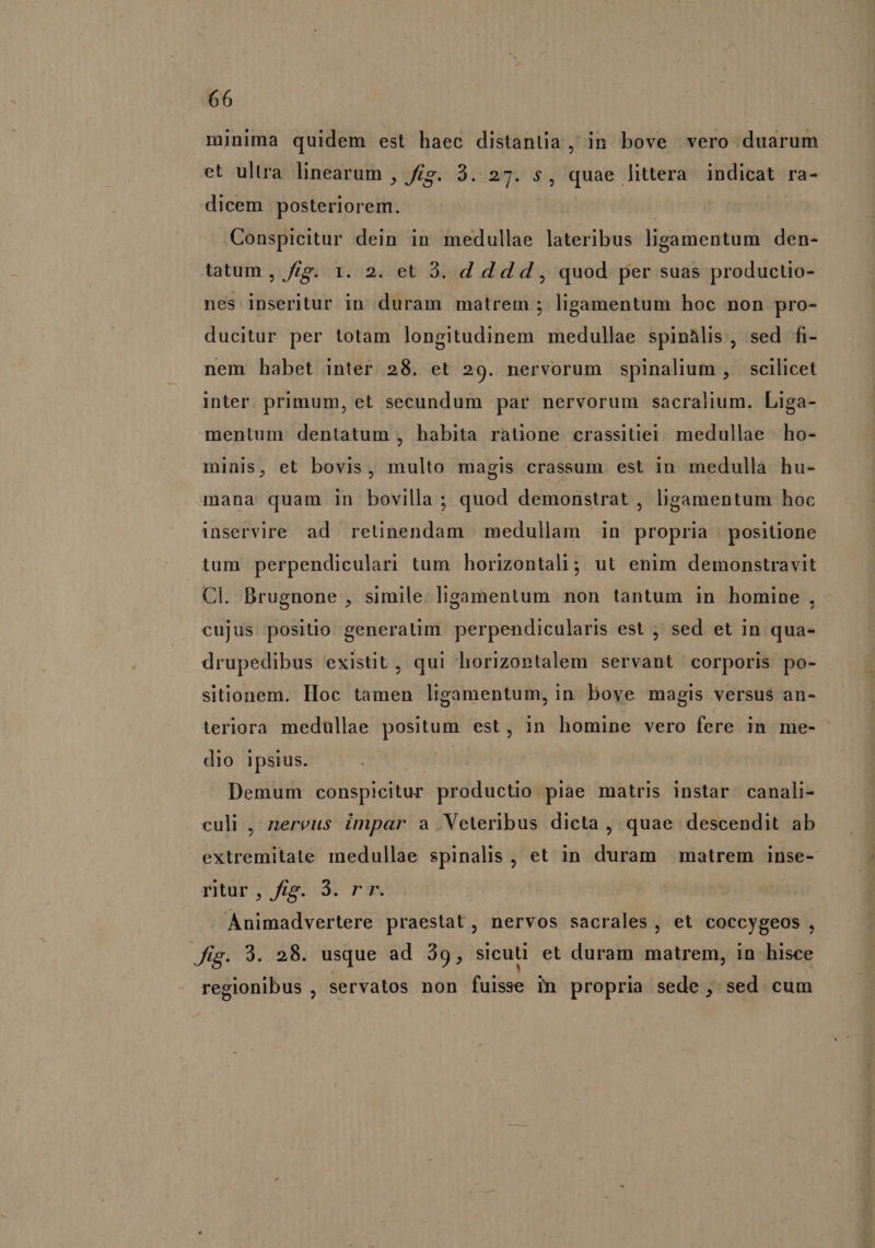 minima quidem est haec distantia, in bove vero duarum et ultra linearum , fg. 3. 27. s, quae littera indicat ra- dicem posteriorem. .Conspicitur dein in medullae lateribus ligamentum den- tatum , fcg. 1. 2. et 3. d dd d , quod per suas productio- nes inseritur in duram matrem ; ligamentum hoc non pro- ducitur per totam longitudinem medullae spinàlis, sed fi- nem habet inter 28. et 29. nervorum spinalium , scilicet inter. primum, et secundum par nervorum sacralium. Liga- mentum dentatum , habita ratione crassitiei medullae ho- minis, et bovis, multo magis crassum est in medulla hu- mana quam in bovilla ; quod demonstrat , bigamentum hoc inservire ad reünendam medullam in propria | positione tum perpendiculari tum horizontali; ut enim demonstravit Cl. Brugnone , simile. ligamentum non tantum in homine, cujus. positio generatim perpendicularis est ;' sed et in qua- drupedibus existit, qui horizontalem servant corporis po- sitionem. Hoc tamen ligamentum, in bove magis versus an- teriora medüllae positum est, in homine vero fere in me- dio ipsius. Demum conspicitur productio piae matris instar canali- culi , nereus impar a Veteribus dicta, quae descendit ab extremitate medullae spinalis , et in duram matrem inse- ritur, fig. 3. rr. Animadvertere praestat, nervos sacrales, et coccygeos , Jig. 9. 28. usque ad 39, sicuti et duram matrem, in hisce regionibus , servatos non fuisse in propria sede ; sed cum