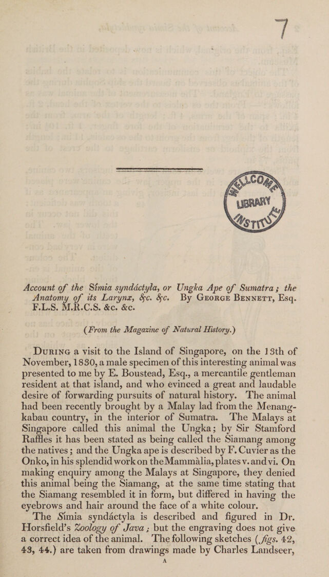 digitised image 1