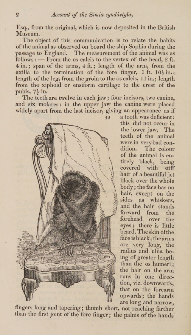 digitised image 2
