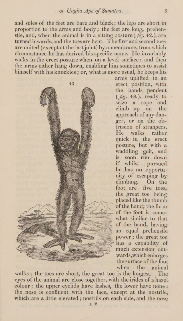 digitised image 3