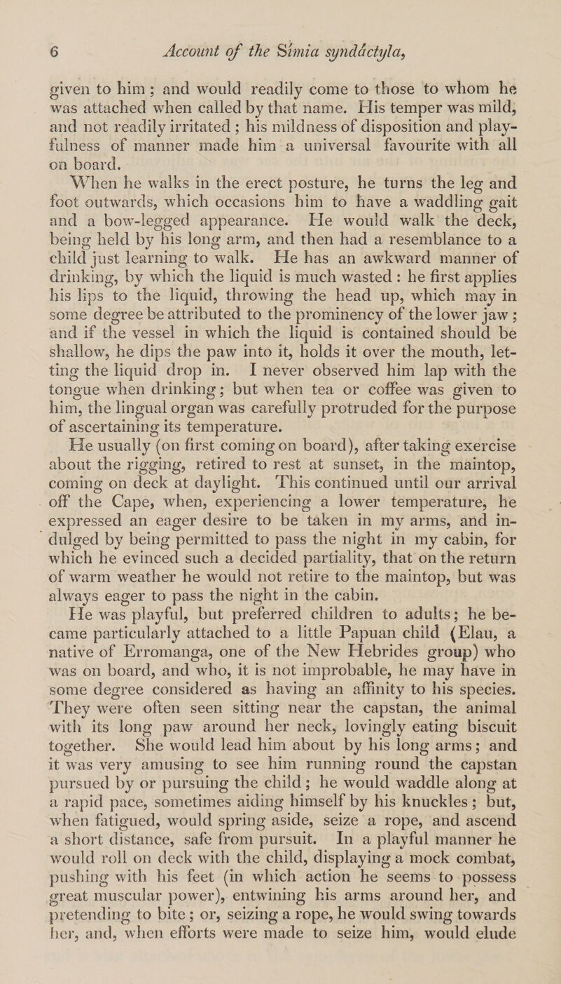 given to him ; and would readily come to those to whom he was attached when called by that name. His temper was mild, and not readily irritated ; his mildness of disposition and play¬ fulness of manner made him a universal favourite with all on board. When he walks in the erect posture, he turns the leg and foot outwards, which occasions him to have a waddling gait and a bow-legged appearance. He would walk the deck, being held by his long arm, and then had a resemblance to a child just learning to walk. He has an awkward manner of drinking, by which the liquid is much w'asted : he first applies his lips to the liquid, throwing the head up, which may in some degree be attributed to the prominency of the lower jaw ; and if the vessel in which the liquid is contained should be shallow, he dips the paw into it, holds it over the mouth, let¬ ting the liquid drop in. I never observed him lap with the tongue when drinking; but when tea or coffee was given to him, the lingual organ was carefully protruded for the purpose of ascertaining its temperature. He usually (on first coming on board), after taking exercise about the rigging, retired to rest at sunset, in the maintop, coming on deck at daylight. This continued until our arrival off the Cape, when, experiencing a lower temperature, he expressed an eager desire to be taken in my arms, and in¬ dulged by being permitted to pass the night in my cabin, for which he evinced such a decided partiality, that on the return of warm weather he would not retire to the maintop, but was always eager to pass the night in the cabin. fie was playful, but preferred children to adults; he be¬ came particularly attached to a little Papuan child (Elau, a native of Erromanga, one of the New Hebrides group) who was on board, and who, it is not improbable, he may have in some degree considered as having an affinity to his species. They were often seen sitting near the capstan, the animal with its long paw around her neck, lovingly eating biscuit together. She would lead him about by his long arms; and it was very amusing to see him running round the capstan pursued by or pursuing the child; he would waddle along at a rapid pace, sometimes aiding himself by his knuckles; but, when fatigued, would spring aside, seize a rope, and ascend a short distance, safe from pursuit. In a playful manner he would roll on deck with the child, displaying a mock combat, pushing with his feet (in which action he seems to possess great muscular power), entwining his arms around her, and pretending to bite; or, seizing a rope, he would swing towards her, and, when efforts were made to seize him, would elude