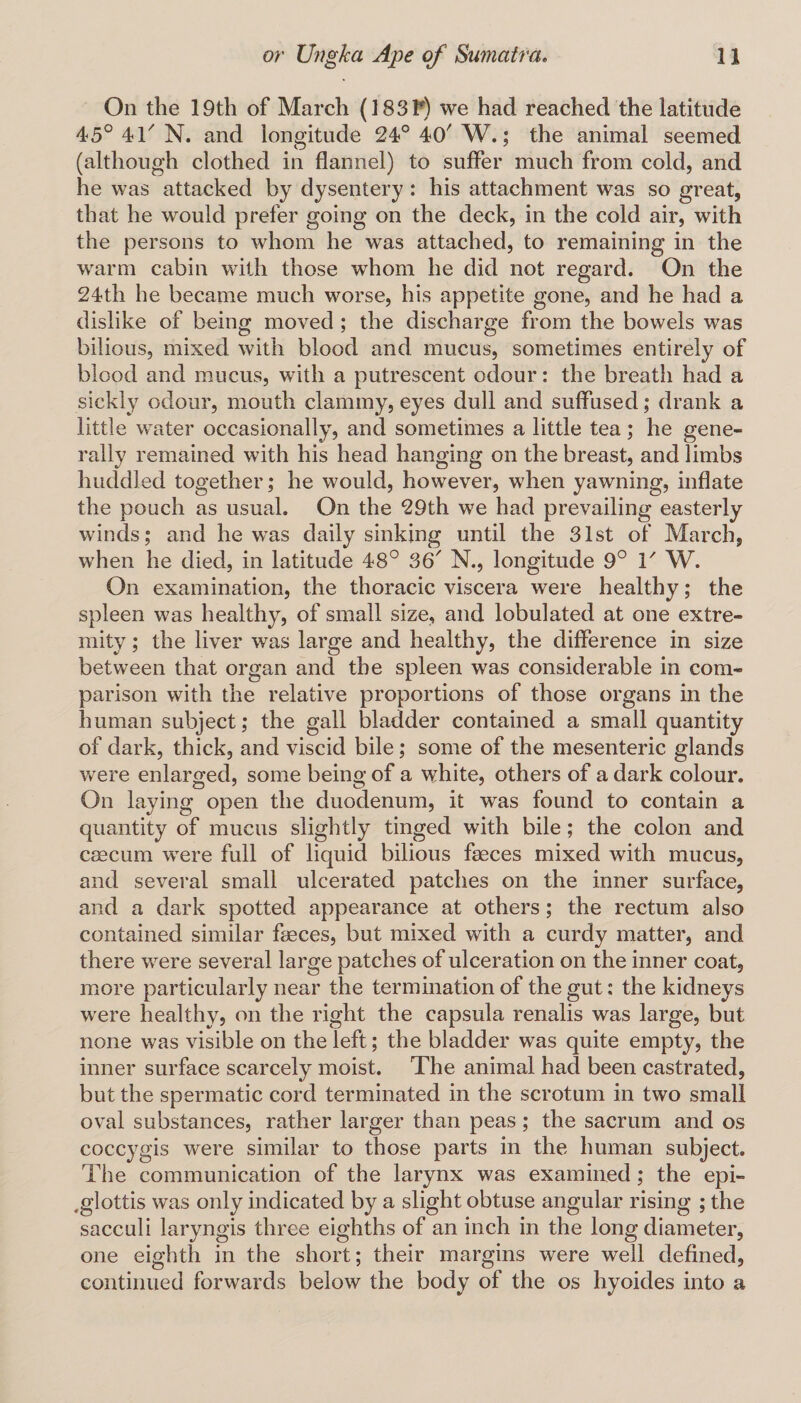 On the 19th of March (183F) we had reached the latitude 45° 41' N. and longitude 24° 40' W.; the animal seemed (although clothed in flannel) to suffer much from cold, and he was attacked by dysentery: his attachment was so great, that he would prefer going on the deck, in the cold air, with the persons to whom he was attached, to remaining in the warm cabin with those whom he did not regard. On the 24th he became much worse, his appetite gone, and he had a dislike of being moved ; the discharge from the bowels was bilious, mixed with blood and mucus, sometimes entirely of blood and mucus, with a putrescent odour: the breath had a sickly odour, mouth clammy, eyes dull and suffused; drank a little water occasionally, and sometimes a little tea; he gene¬ rally remained with his head hanging on the breast, and limbs huddled together; he would, however, when yawning, inflate the pouch as usual. On the 29th we had prevailing easterly winds; and he was daily sinking until the 31st of March, when he died, in latitude 48° 36' N., longitude 9° T W. On examination, the thoracic viscera were healthy; the spleen was healthy, of small size, and lobulated at one extre¬ mity ; the liver was large and healthy, the difference in size between that organ and the spleen was considerable in com¬ parison with the relative proportions of those organs in the human subject; the gall bladder contained a small quantity of dark, thick, and viscid bile; some of the mesenteric glands were enlarged, some being of a white, others of a dark colour. On laying open the duodenum, it was found to contain a quantity of mucus slightly tinged with bile; the colon and caecum were full of liquid bilious faeces mixed with mucus, and several small ulcerated patches on the inner surface, and a dark spotted appearance at others; the rectum also contained similar faeces, but mixed with a curdy matter, and there were several large patches of ulceration on the inner coat, more particularly near the termination of the gut: the kidneys were healthy, on the right the capsula renalis was large, but none was visible on the left; the bladder was quite empty, the inner surface scarcely moist. The animal had been castrated, but the spermatic cord terminated in the scrotum in two small oval substances, rather larger than peas; the sacrum and os coccygis were similar to those parts in the human subject. The communication of the larynx was examined; the epi¬ glottis was only indicated by a slight obtuse angular rising ; the sacculi laryngis three eighths of an inch in the long diameter, one eighth in the short; their margins were well defined, continued forwards below the body of the os hyoides into a