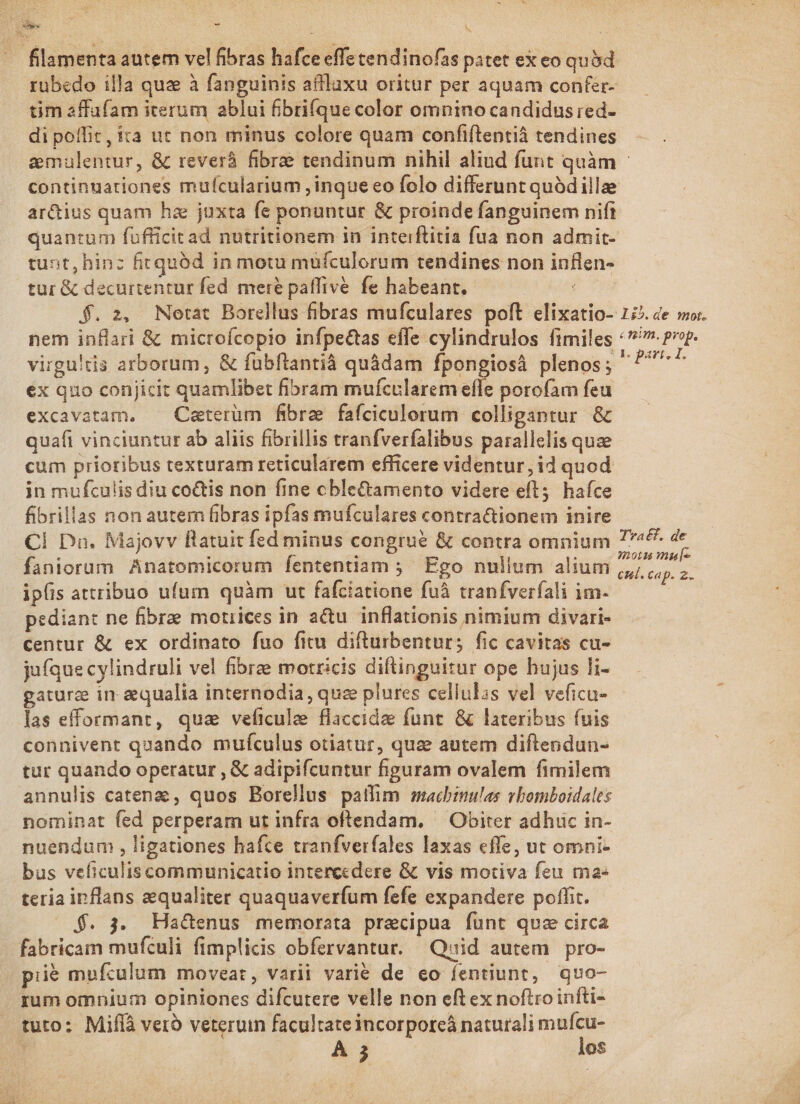 rübedo illa qua à fanguinis affluxu oritur per aquam confer- tim affufam iterum ablui fibrifque color omnino candidus red- di poffit, ita ut non minus colore quam confiftentià tendines continuationes mufcularium , inque eo folo differunt quód illae ar&amp;ius quam hz juxta fe ponuntur &amp; proinde fanguinem nift quantum fufficit ad nutritionem in inteiftitia fua non admit- tust, hinz firquód in motu mufculorum tendines non inflen- tur &amp; decurtentur fed mere paffive fe habeant. $. 2, Notat Borellus fibras mufculares poft elixatio- nem inflari &amp; microícopio infpe&amp;tas effe cylindrulos fimiles virgultis arborum, &amp; fübftantià quádam fpongiosá plenos; ex quo conjicit quamlibet fibram mufcularem efle porofam feu excavatam. — Caterüm fibre fafciculoerum colligantur &amp; quafi vinciuntur ab aliis fibrillis tranfverfalibus parallelis quze cum prioribus texturam reticularem efficere videntur, id quod in mufculis diu coctis non fine cble&amp;amento videre eft; haíce fibrillas non autem fibras ipfas mufculares contractionem inire CÍ Dn. Majovv flatuit fed minus congrue &amp; contra omnium faniorum Anatomicorum fententiam ; Ego nullum alium ipíis attribuo ufum quàm ut fafciatione fuà tranfverfali im- pediant ne fibrae motiices in au inflationis nimium divari- centur &amp; ex ordinato fuo fitu difturbentur; fic cavitas cu- jufque cylindruli vel fibre motricis diftinguitur ope hujus li- gaturz in aequalia internodia, quz plures cellulis vel veficu- las efformant, qua veficule flaccida funt. &amp; lateribus fuis connivent quando mufculus otiatur, quae autem diftendun- tur quando operatur , &amp; adipifcuntur figuram ovalem fimilem annulis catenz , quos Borellus patlhim macbinulas vbomboidales nominat fed perperam ut infra oftendam. — Obiter adhuc in- nuendum , ligationes haftce tranfverfales laxas effe, ut omni- bus veficulis communicatio intercedere &amp; vis motiva feu ma- teria inflans aequaliter quaquaverfum fefe expandere poflit. $. 3. Ha&amp;enus memorata praecipua funt quz circa fabricam mufculi fimplicis obfervantur. Quid autem pro- piié mufculum moveat, varii varie de eo fentiunt, quo- rum omnium opiniones difcutere velle non eft ex noftroinfti- tuto: Miffà veró veterum facultate incorporeá naturali mufcu- A j los l$ib.de mot. «mim. prop. 1. part, IL. Tvaéf. de motis mule cael. cap. 2.