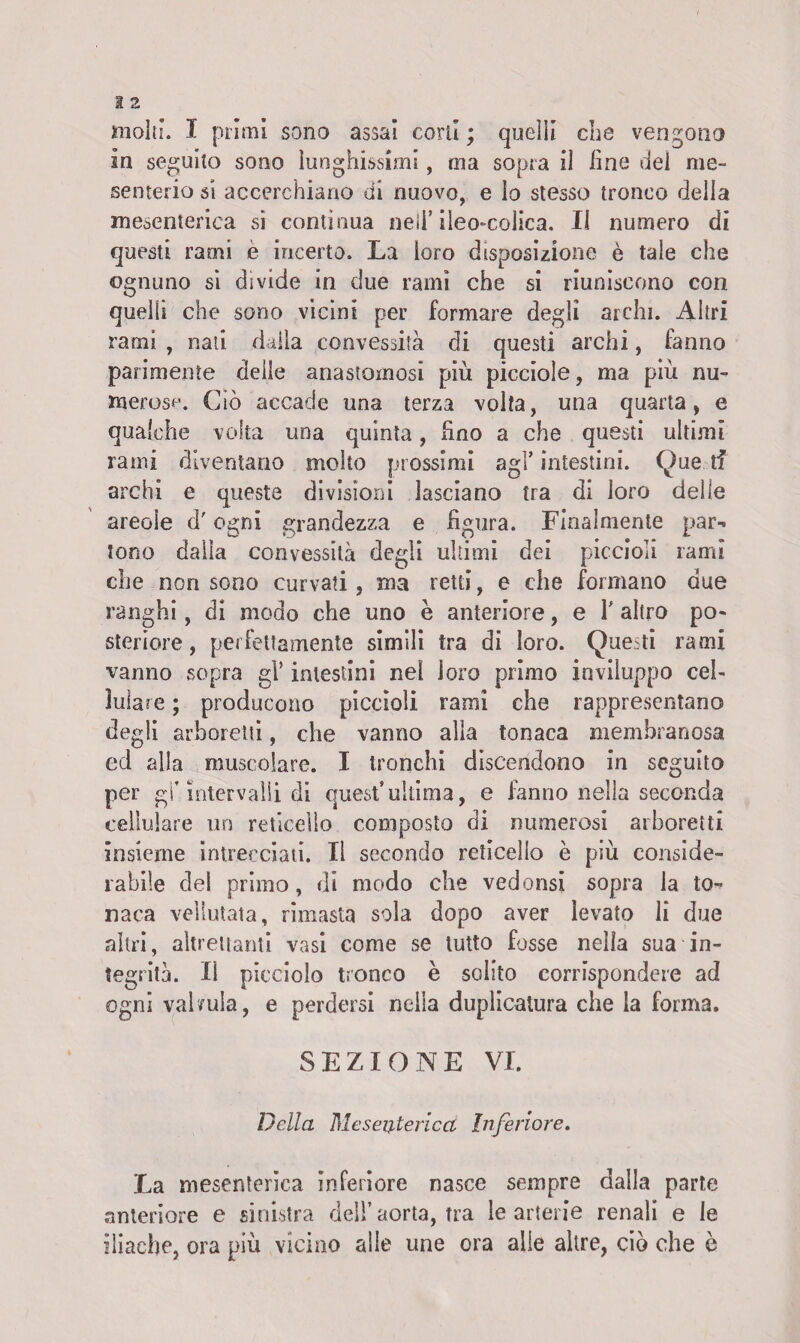 molti. I primi sono assai corti ; quelli che vengono In seguilo sono lunghissimi, ma sopra il fine del me¬ senterio si accerchiano di nuovo, e lo stesso tronco della mesenterica sì contìnua nell’deo-colica. Il numero di questi rami è incerto. La loro disposizione è tale che ognuno si divide in due rami che si riuniscono con quelli che sono vicini per formare degli archi. Altri rami , nati dalla convessità di questi archi, fanno parimente delle anastomosi piu picciole, ma più nu¬ merose. Ciò accade una terza volta, una quarta, e qualche volta una quinta, fino a che questi ultimi rami diventano molto prossimi agl’ intestini. Que tf archi e queste divisioni lasciano tra di loro delle areoie d'ogni grandezza e figura. Finalmente par¬ tono dalla convessità degli ultimi dei piccioli rami che non sono curvati, ma retti, e che formano due ranghi, di modo che uno è anteriore, e V altro po¬ steriore, perfettamente simili tra di loro. Questi rami vanno sopra gì’ intestini nel loro primo inviluppo cel¬ lulare ; producono piccioli rami che rappresentano degli arboretti, che vanno alla tonaca membranosa ed alla muscolare. I tronchi discendono in seguito per gl’intervalli di quest5ultima, e fanno nella seconda cellulare un micelio composto di numerosi arboretti insieme intrecciati. Il secondo reticello è più conside¬ rabile dei primo, di modo che vedonsi sopra la to¬ naca vellutata, rimasta sola dopo aver levato li due altri, altrettanti vasi come se tutto fosse nella sua in¬ tegrità. Il picciolo tronco è solito corrispondere ad ogni vahula, e perdersi nella duplicatura che la forma. SEZIONE VI. Della Mesenterica Inferiore. La mesenterica inferiore nasce sempre dalla parte anteriore e sinistra dell’ aorta, tra le arterie renali e le iliache, ora più vicino alle une ora alle altre, ciò che è