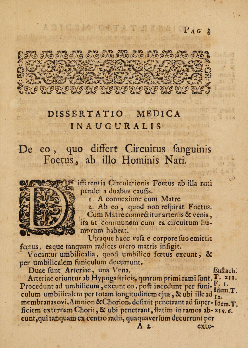 Pag 5 im cD® m $%$> sM m m ®v® (3Y® sy® 5v® sy® ^ sv® ev® oy® ®y® Gy® oy®* £*’«£> QUWiO Cw\5 C#ilO C*>k5 O.iO CjsWi C«*0 C#tO £*iiO C««fc3 Cjfr DISSERTATIO MEDICA INAUGURALIS De eo , quo differt Circuitus (anguinis Foetus, ab ilio Hominis Nati. iffercntia Circulationis Foetus ab illa nati pendet a duabus caufis. 1. A connexione cum Matre 2. Ab eo , quod non refpirat Foetus* Cum Matre conne&itur arteriis Sc venis, ira ut communem cum ea circuitum hu¬ morum habeat. Utraque haec vafa e corpore fuo emittit fcetus, eaque tanquam radices mero matris infigit. Vocantur umbilicalia, quod umbilico foetus exeunt, 8e per umbilicalem funiculum decurrunt. Duae funt Arteriae, una Vena. Euflach.' Arteriae oriuntur ab Hypogaftricis, quarum primi rami fiunt. xu* Procedunt ad umbilicum, exeunt eo, poft incedunt per funi*^^ culum umbilicalem per totam longitudinem ejus, & ubi ille ad Ix^m* * membranas ovi, Amnion &Chorion, definit penetrant ad fuper- Idem.T, ficiem externam Chorii, & ubi penetrant, ftatim in ramos ab-xiy.*. eunt,qui tanquam ex centro radii, quaquaverfum decurrunt per A 2 exie*