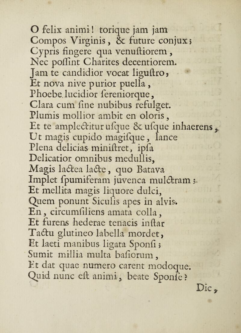 O feiix animi ! torique jam jam Compos Virginis, &; future conjuxj Cypris fingere qua venuftiorem, Nec poflint Charites decentiorem. Jam te candidior vocat liguftroj Et nova nive purior puella, Phoebe, lucidior fereniorque. Clara cum fine nubibus refulget. Plumis mollior ambit en oloris, Et te ampleddtur ufque & ufque inhaerens Ut magis cupido magifque, lance Plena delicias miniftret, ipfa Delicatior omnibus medullis. Magis ladea lade, quo Batava Implet fpumiferam juvenca muldram j. Et mellita magis liquore dulci, Quem ponunt Siculis apes in alvis^ En, circumfiliens amata colla, Et furens hederae tenacis indar Tadu glutineo labella mordet , Et laeti manibus ligata Sponfi; ■ Sumit millia multa bafiorum, Et dat quae numero carent modoque; Quid nunc eft animi, beate Sponfe? Dic