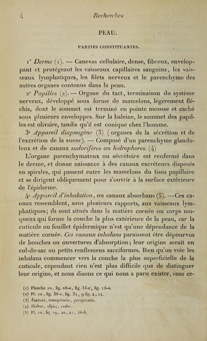 PEAU. PARTIES CONSTITUANTES. i° Derme (j). — Canevas cellulaire, dense, fibreux, envelop¬ pant et protégeant les vaisseaux capillaires sanguins, les vais¬ seaux lymphatiques, les filets nerveux et le parenchyme des autres organes contenus dans la peau. 20 Papilles (2).— Organe du tact, terminaison du système nerveux, développé sous forme de mamelons, légèrement flé¬ chis, dont le sommet est terminé en pointe mousse et caché sous plusieurs enveloppes. Sur la baleine, le sommet des papil¬ les est olivaire, tandis qu’il est conique chez l’homme. 3° Appareil diapnogène (3) ( organes de la sécrétion et de l’excrétion de la sueur). — Composé d’un parenchyme glandu¬ leux et de canaux sudorifères ou hidrophores. (4) L’organe parenchymateux ou sécrétoire est renfermé dans le derme, et donne naissance à des canaux excréteurs disposés en spirales, qui passent entre les mamelons du tissu papillaire et se dirigent obliquement pour s’ouvrir à la surface extérieure de l’épiderme. 4° Appareil d'inhalation, ou canaux absorbans (5). —Ces ca¬ naux ressemblent, sous plusieurs rapports, aux vaisseaux lym¬ phatiques; ils sont situés dans la matière cornée ou corps mu¬ queux qui forme la couche la plus extérieure de la peau, car la cuticule ou feuillet épidermique n’est qu’une dépendance de la matière cornée. Ces canaux inhalans paraissent être dépourvus de bouches ou ouvertures d’absorption ; leur origine serait en cul-de-sac ou petits renflemens sacciformes. Bien qu’on voie les inhalans commencer vers la couche la plus superficielle de la cuticule, cependant rien n’est plus difficile que de distinguer leur origine, et nous disons ce qui nous a paru exister, sans ce- (r) Planche 10, fig. 26-a, fig. 35-a} fig. i5-a. (2) Pi. 10 , fig. 36-e, fig. 34; 9 fig. 4,14. (3) $tairvovi, transpiralio , perspiratio. (4) llidros, icJ'pùç, sudor. (5) PI. 10, fig. j y, 20 , x 1, 36-^.