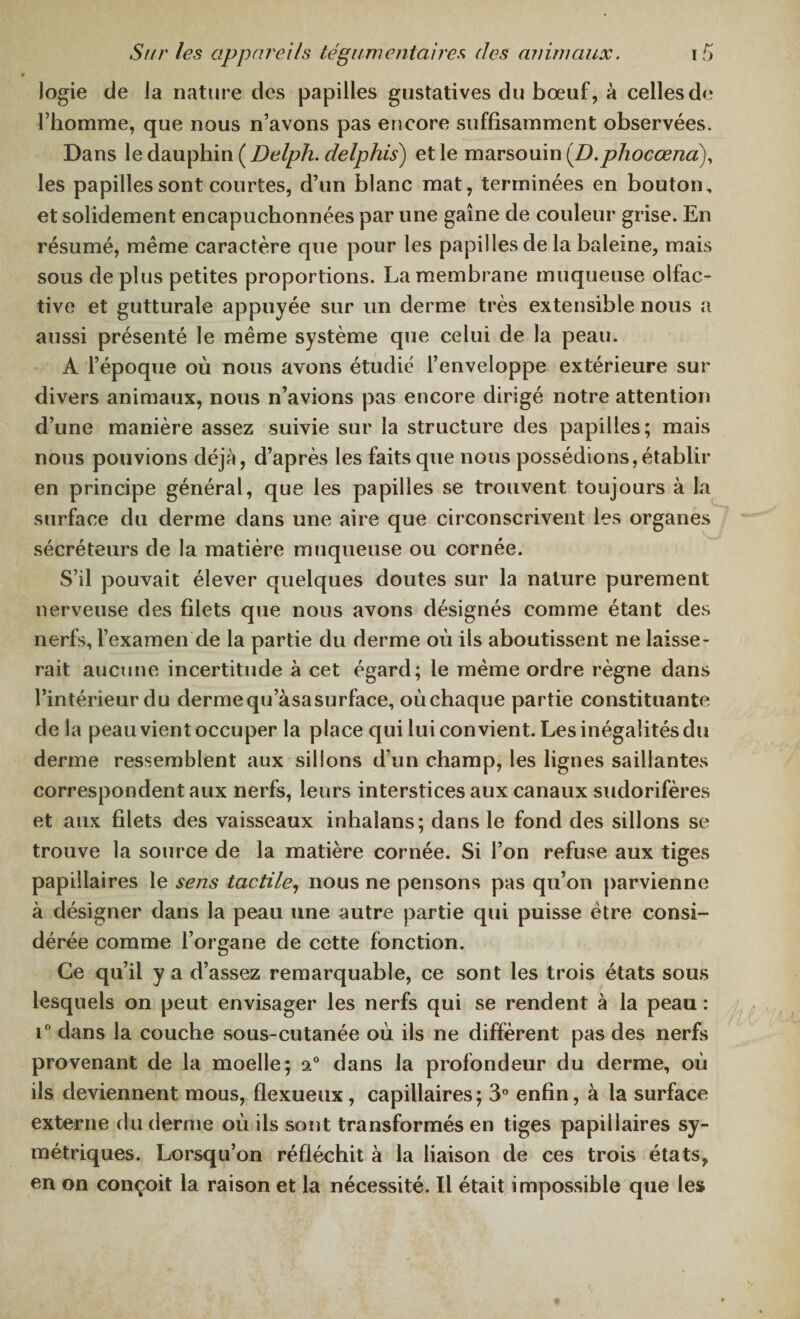 logie de la nature des papilles gustatives du bœuf, à celles de l’homme, que nous n’avons pas encore suffisamment observées. Dans le dauphin ( Delph. delphis) et le marsouin (D.phocœna), les papilles sont courtes, d’un blanc mat, terminées en bouton, et solidement encapuchonnées par une gaine de couleur grise. En résumé, même caractère que pour les papilles de la baleine, mais sous de plus petites proportions. La membrane muqueuse olfac¬ tive et gutturale appuyée sur un derme très extensible nous a aussi présenté le même système que celui de la peau. A l’époque où nous avons étudié l’enveloppe extérieure sur divers animaux, nous n’avions pas encore dirigé notre attention d’une manière assez suivie sur la structure des papilles; mais nous pouvions déjà, d’après les faits que nous possédions,établir en principe général, que les papilles se trouvent toujours à la surface du derme dans une aire que circonscrivent les organes sécréteurs de la matière muqueuse ou cornée. S’il pouvait élever quelques doutes sur la nature purement nerveuse des filets que nous avons désignés comme étant des nerfs, l’examen de la partie du derme où ils aboutissent ne laisse¬ rait aucune incertitude à cet égard; le même ordre règne dans l’intérieur du derme qu’àsa surface, où chaque partie constituante delà peau vient occuper la place qui lui convient. Les inégalités du derme ressemblent aux sillons d'un champ, les lignes saillantes correspondent aux nerfs, leurs interstices aux canaux sudorifères et aux filets des vaisseaux inhalans; dans le fond des sillons se trouve la source de la matière cornée. Si l’on refuse aux tiges papillaires le sens tactile, nous ne pensons pas qu’on parvienne à désigner dans la peau une autre partie qui puisse être consi¬ dérée comme l’organe de cette fonction. Ce qu’il y a d’assez remarquable, ce sont les trois états sous lesquels on peut envisager les nerfs qui se rendent à la peau : i° dans la couche sous-cutanée où ils ne diffèrent pas des nerfs provenant de la moelle; 20 dans la profondeur du derme, où ils deviennent mous, flexueux, capillaires; 3° enfin, à la surface externe du derme où ils sont transformés en tiges papillaires sy¬ métriques. Lorsqu’on réfléchit à la liaison de ces trois états, en on conçoit la raison et la nécessité. Il était impossible que les