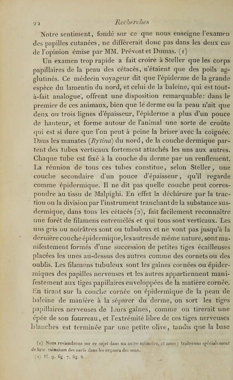 9/2 Notre sentiment, fondé sur ce que nous enseigne l’examen des papilles cutanées, ne différerait donc pas dans les deux cas de l’opinion émise par MM. Prévost et Dumas, (i) Un examen trop rapide a fait croire à Steller que les corps papillaires de la peau des cétacés, n’étaient que des poils ag¬ glutinés. Ce médecin voyageur dit que l’épiderme de la grande espèce du larnentin du nord, et celui de la baleine, qui est tout- à-fait analogue', offrent une disposition remarquable: dans le premier de ces animaux, bien que le derme ou la peau n’ait que deux ou trois lignes d épaisseur, l’épiderme a plus d’un pouce de hauteur, et forme autour de l’animal une sorte de croûte qui est si dure que l’on peut à peine la briser avec la coignée. Dans les manates (Rytina) du nord, de la couche dermique par¬ tent des tubes verticaux fortement attachés les uns aux autres. Chaque tube est fixé à la couche du derme par un renflement. La réunion de tous ces tubes constitue, selon Steller^, une couche secondaire d’un pouce d’épaisseur, qu’il regarde comme épidermique. Il ne dit pas quelle couche peut corres¬ pondre au tissu de Malpighi. En effet La déchirure par la trac¬ tion ou la division par l’instrument tranchant de la substance sus- dermique, dans tous les cétacés fa), fait facilement reconnaître une foret de fiîamens entremêlés et qui tous sont verticaux. Les uns gris ou noirâtres sont ou tubuleux et ne vont pas jusqu’à la dernière couche épidermique, les autres de même nature, sontma- nilestement formés d’une succession de petites tiges écailleuses placées les unes au-dessus des autres comme des cornets ou des oublis. Les fiîamens tubuleux sont les gaines cornées ou épider¬ miques des papilles nerveuses et les autres appartiennent mani¬ festement aux tiges papillaires enveloppées de la matière cornée. En tirant sur la couche cornée ou épidermique de la peau de baleine de manière à la séparer du derme, on sort les tiges papillaires nerveuses de leurs gaines, comme on tirerait une épée de son fourreau, et l’extrémité libre de ces tiges nerveuses blanches est terminée par une petite olive, tandis que la base (r) Nous reviendrons sur ce sujet dans un autre mémoire,- et nous;, traiterons spécialement de iate îninaison des nerfs dans les organes des sens.