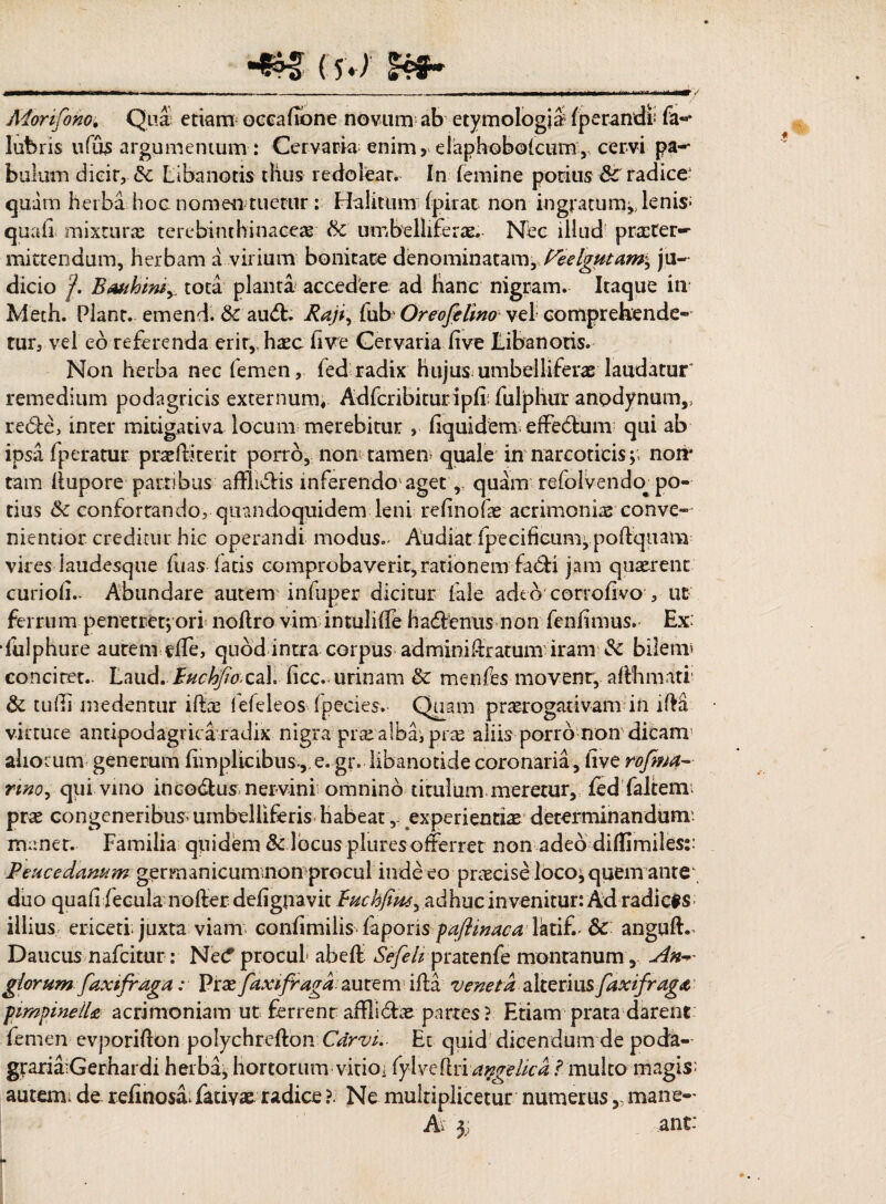 Aiortfono; Qua etiam occa (Ion e novum ab etymologia fperandf fa«* lutms ufis argumentum : Cervaria enim, elaphobolcum, cervi pa- bulum dicir,&; Libanotis thus redolear. In femine potius & radice- quam herba hoc nomen tuetur; Halitum fpirat non ingratum,, lenis- quali mixturae terebinthinaceae & uni belliferae. Nec illud- praeter¬ mittendum, herbam a virium bonitate denominatam, (Seelgutam^ ju¬ dicio cf. B<vth 'miy. tota planta accedere ad hanc nigram. Itaque in Mech. Piant, emend. dc au<5t. Raji, fub Oreofelim vel; comprehende¬ tur, vel eb referenda erit, hxc live Cervaria live Libanotis. Non herba nec femen, fed radix hujus umbelliferas laudatur remedium podagricis externum, Adfcribituriplr fulphur anodynum,, re<5fe, inter mitigativa locum merebitur , Equidem effedtum qui ab ipsa fperatur praeftkerit porro, non tamen quale in narcoticis;; non* tam liupore partibus affli&is inferendo'aget r quam refolveneta po¬ tius 6c confortando, quandoquidem leni relinofae acrimonias conve- nientior creditur hic operandi modus.- Audiat fpecificum;pollquam vires laudesque fuas latis comprobaverit,rationemfacli jam quadrent curiolL Abundare autem inluper dicitur fale adeo corrolivo , ut ferrum penetret; ori noftro vim intulilfe hadfcniis non fenlimus. Ex ■fulphure aurem efle, quod intra corpus adminiftratum iram bilem? conciret.. Laud. PuchJtozA. licc. urinam & mentas movent, atahmiti & tu Hi medentur iftas fetaleos fpecies. Quam praerogativam in iHa virtuce antipodagrica radix nigra pras alba; pras aliis porro non dicam aliorum generum limplicibus , e. gr. libanotide coronaria , live rofma- rino9 qui vino inco&us nervini omnino titulum meretur, fed faltem; prae congeneribus uinbelliferis habeat, experientis determinandum maner. Familia quidem & locus plures offerret non adeo dilfimiles:: Peucedanum gprmanicummon procul inde eo praecise loco; quem ante duo quali fecula nofferdeligpavitF^c^W, ad huc in venitur: Ad radicis illius ericeti juxta viam confimilis laporis paftinaca Iktifl & anguft- Daucus nafeitur: Nec? procul abeft Sefeh pratenfe montanum , An^ glorum faxi fraga: Prae faxifrava autemiffca veneta alteri asfaxifrag# pmpineiU acrimoniam ut ferrent affilcfe partes ? Etiam prata darent feni en evporifton polychrefton Cdrvi.- Ec quid dicendum de poda- graria Gerhardi herba, hortorum vitio, fylveflri angelica l multo magis; autem, de relinosa, fatiyae radice ?. Ne multiplicetur numerus, mane- A= 3; ant: