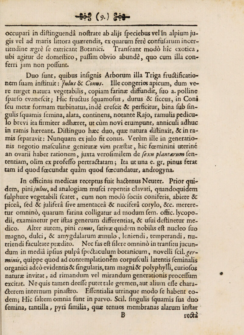 (?•) occupari in diltinguenda noftrate abalijs Ipeciebus vel in alpium ju¬ gis vel ad maris littora quaerendis, ex quarum fere confularum incer- titudine aegre fe extricant Botanici. Tranfeant modo hic exotica, ubi agitur de domeftico, paffim obvio abunde, quo cum illa con¬ ferri jam non poliunt. Duo funt, quibus infignis Arborum illa Triga frudificatio- nem fuam inftituit: ‘fulus Sc Conus. Ille congeries apicum, dum ve¬ re turget natura vegetabilis, copiam farinas diffundit, fuo a. polline fparfo evanefcit; Hic fructus fquamofus, durus Sc licciis, in Coni feu metae formam turbinatus, inde crefcic Sc perficitur, bina fub lin¬ gulis fquamis femina, alata, continens, notante Rajo, ramulis pedicu¬ lo brevi ita firmiter adhaeret, ut cum novi erumpunt, anniculi adhuc in ramis hsereant. Diftinguo haec duo, quce natura diftinxit, Sc in ra¬ mis feparavit: Nunquam exjulo fit conus. Verum ille in generatio¬ nis negotio mafculinas genituras vim pneflac, hic fceminini uterine an ovarii habet rationem, juxta verofimilem de fexu plantarum fen» tendam, olim ex profelfo percra&atam ; Ita ut una e. gr, pinus ferat tam id quod foecundat quam quod fcecundatur, androgyna. In officinas medicas receptus fuit hadenus Neuter. Prior qui¬ dem, pinijulus, ad analogiam mulci repentis clavati, quandoquidem fulphure vegetabili fcatet, cum non modo fociis coniferis, abiete Sc picea, led Sc julifera live amentacea Sc nucifera corylo, Scc. merere¬ tur omnino, quarum farina colligatur ad modum fem. offic. lycopo- dii, examinetur per illas generum differentias, Sc ufui deflinetur me¬ dico. Alter autem, pini contis, fativae quidem nobilis efl nucleo fuo magno, dulci, Sc amygdalarum aemulo, leniendi, temperandi, nu¬ triendi facultate prodito. Nec fas efl filere omnino in tranfitu jucun¬ dum in media iplius pulpa fpedaculum botanicum, novelli fcil.^r- minis, quippe quod ad contemplationem corpufculi latentis feminalis organici adeo evidentis & lingularis, tam magni & polyphylfi, curiolos naturas invitat, ad rimandum vel mirandum generationis procelfum excitat. Nequis tamen deelfe putet tale germen, aut alium elle chara- derem internum pinallro. Elfentialia utrinque modo fe habent eo¬ dem ; Hic falcem omnia funt in parvo. Scii, lingulis fquamis fua duo femina, tantilla, pyri fimilia, quae tenues membranas alarum inflar B reda