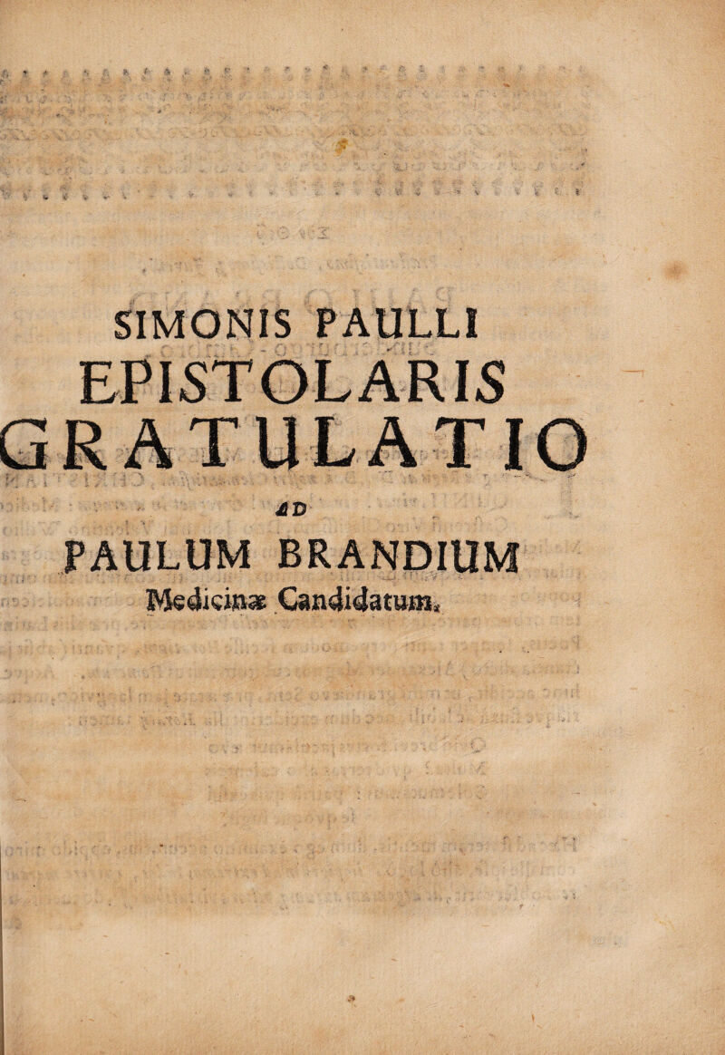 SIMONIS PAULLI EPISTOLARIS 40 PAULUM BRANDIUM