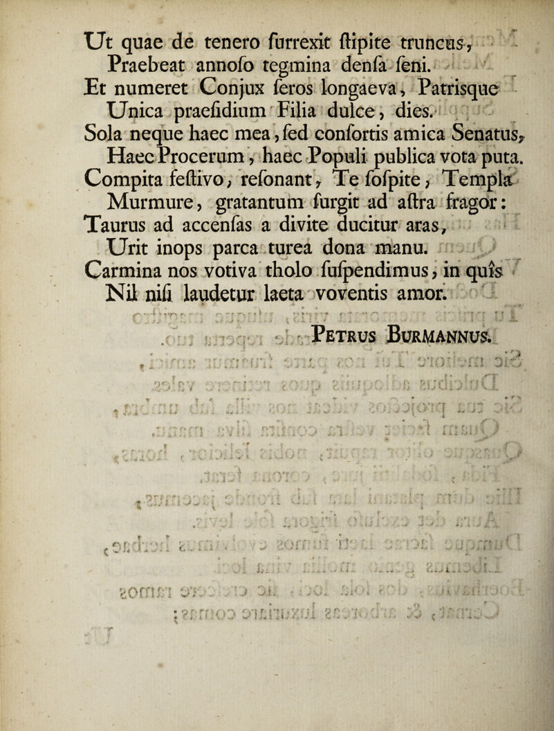 Ut quae de tenero furrexit flipite truncus, Praebeat annofo tegmina denfa feni. Et numeret Conjux feros longaeva, Patrisque Unica praefidium Filia dulce, dies. Sola neque haec mea, fed confortis amica Senatus, Haec Procerum, haec Populi publica vota puta. Compita feflivo, refonant, Tefofpite, Templa Murmure, gratantum furgit ad aftra fragor: Taurus ad accenfas a di vite ducitur aras. Urit inops parca turea dona manu. Carmina nos votiva tholo fufpendimus, in quis Nil nih laudetur laeta voventis amor. «* Petrus Burmannus. r 1 4 t ; . 1 % i -ff» r ! I ■ .? - t i i- i «• r * >V W’ A r'y r. f* * , £■ , fi. * i . ( ,* J r * * I g?: j *