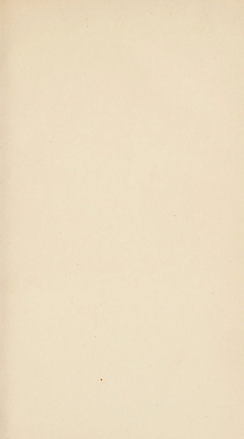 Pe } <4 ; rae : hat £6. a ee f on