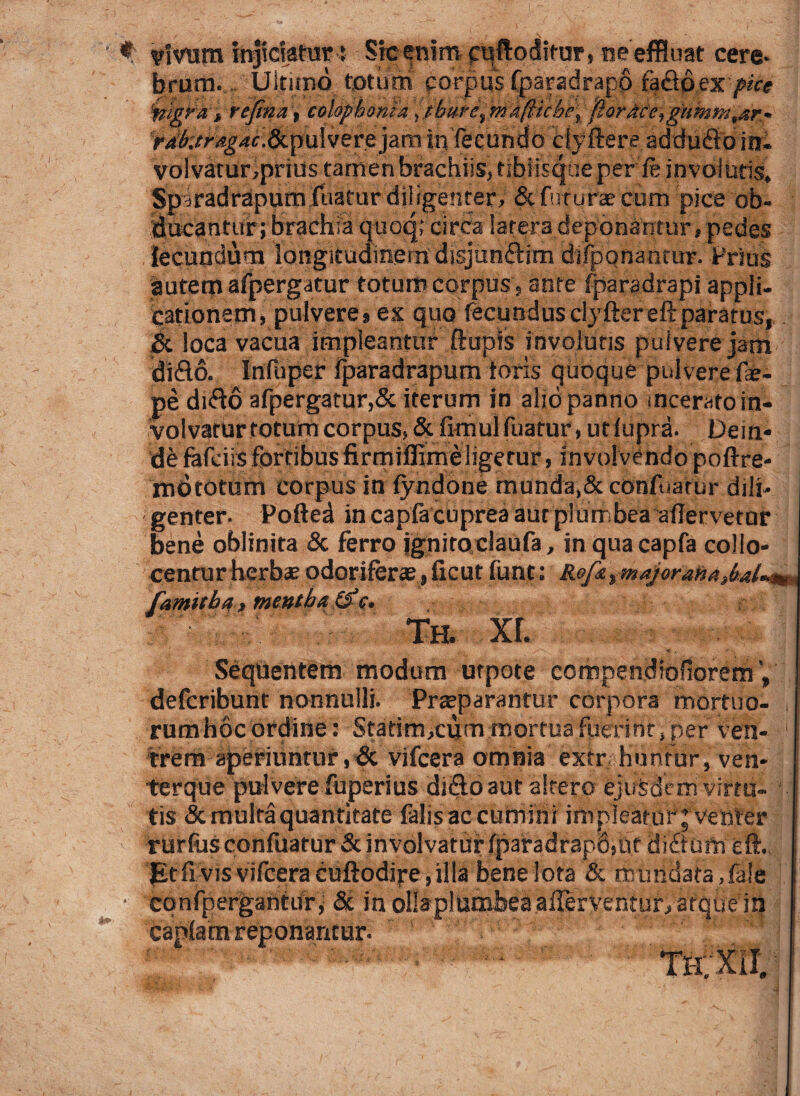 Vivum injiciatur ; Sfeenim p^ftodirur» ne effluat cere¬ brum- ... Ultimo totum corpus fparadrapo fadoex pice 'nigra» refina \ colophonia ^tbur^maftichey flor4ce,gtmm,ar» ^4'for^4f.&puiverejara infecundo ciyftere addudo ini vol vatur,prius tamen brachiis, tibiisque per fe involutis» 'Sp-iradrapumluatur diligenter» & futurae cum pice ob¬ ducantur; brachia quoq; circa latera deponantur, pedes fecundum longitudinem disjundim difponantur. Prius autem afpergatur totum corpus , ante fparadrapi appli¬ cationem, pulvere, ex quo fecundusclyftereftparatus,,. 5c loca vacua impleantur ftupis involutis pulvere jam dido. Infliper iparadrapum toris quoque pulvere fae- pe dido afpergatur,& iterum in alio panno incerato in¬ volvatur fotum corpus, & fimul fuatur, ut iupra- Dem* defafciisfortibusfirrniflimeligetur, involvendopoftre- mototum corpus in fyndone munda,& cbnfuatur dili¬ genter. Poftea in capfacuprea aut plumbea ailervetur bene oblinita & ferro ignito claufa, in quacapfa collo- centurherb® odorifer®, ficut fune: Roft famitba , mentha tfc. Th. xr. Sequentem modum urpote compendlofiorem V defcribunt nonnulli. Pr®parantur corpora mortuo- rum hoc ordine: Stafim,cum mortua fuerint, per ven- 1 trera aperiuntur , & vifcera omnia extr hunfur, ven¬ terque pulvere fuperius dido aut altero ejusdem virtu¬ tis & multa quantitate falis ac cumini impleatur’venter rurfasconfuatur 5t involvatur fpafadr3p6,iit didum eft. JEtfi vis vifcera cuftodipe, illa bene lota & mundata, fate confpergantur , & in oli capiam reponantur. atquem th:xii.