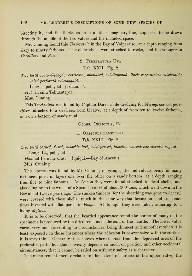 bisecting it, and the thickness from another imaginary line, supposed to be drawn through the middle of the two valves and the included space. Mr. Cuming found this Terebratula in the Bay of Valparaiso, at a depth ranging from sixty to ninety fathoms. The older shells were attached to rocks, and the younger to Corallines and Fuci. 2. Terebratula Uva. Tab. XXII. Fig. 2. Ter. testa ovato-oblonga, ventricosd, subglabra, subdiaphand, lineis concentricis substriaid; valvd perforata subelongatd. Long. 1 poll., lat. -§-, diam. TV- Hab. in sinu Tehuantepec. Mus. Cuming. This Terebratula was found by Captain Dare, while dredging for Meleagrina margari- tiferae, attached to a dead sea-worn bivalve, at a depth of from ten to twelve fathoms, and on a bottom of sandy mud. Genus. Orbicula, Cuv. 1. Orbicula lamellosa. Tab. XXIII. Fig. 2. Orb. testa corned, fused, sub orbicular i, subdepressa, lamellis concentricis elevatis rugosd. Long. 1-rV poll., lat. 1. Hab. ad Peruvise oras. (Iquiqui.—Bay of Ancon.) Mus. Cuming. This species was found by Mr. Cuming in groups, the individuals being in many instances piled in layers one over the other on a sandy bottom, at a depth ranging from five to nine fathoms. At Ancon they wTere found attached to dead shells, and also clinging to the wreck of a Spanish vessel of about 300 tons, which went down in the Bay about twelve years ago. The sunken timbers (for the sheathing was gone to decay,) were covered with these shells, much in the same way that beams on land are some¬ times invested with flat parasitic Fungi. At Iquiqui they wTere taken adhering to a living Mytilus. It is to be observed, that the bearded appearance round the border of many of the specimens is produced by the dried remains of the cilia of the mantle. 1’he lower valve varies very much according to circumstances, being thinnest and smoothest when it is least exposed: in those instances where the adhesion is co-extensive with the surface, it is very thin. Generally it is convex where it rises from the depressed area of the perforated part; but this convexity depends so much on position and other accidental circumstances, that it cannot be relied on with any safety as a character. The measurement merely relates to the extent of surface of the upper valve, the