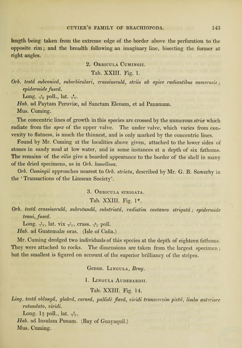 length being taken from the extreme edge of the border above the perforation to the opposite rim; and the breadth following an imaginary line, bisecting the former at right angles. 2. Orbicula Cumingii. Tab. XXIII. Fig. 1. Orb. testa subconicd, suborbiculari, crassiusculd, striis ab apice radiantibus numerosis; epidermide fused. Long. TV poll., lat. -A-. Hab. ad Paytam Peruvise, ad Sanctam Elenam, et ad Panamam. Mus. Cuming. The concentric lines of growth in this species are crossed by the numerous stria which radiate from the apex of the upper valve. The under valve, which varies from con¬ vexity to flatness, is much the thinnest, and is only marked by the concentric lines. Found by Mr. Cuming at the localities above given, attached to the lower sides of stones in sandy mud at low water, and in some instances at a depth of six fathoms. The remains of the cilia give a bearded appearance to the border of the shell in many of the dried specimens, as in Orb. lamellosa. Orb. Cumingii approaches nearest to Orb. striata, described by Mr. G. B. Sowerby in the ‘ Transactions of the Linnean Society’. 3. Orbicula strigata. Tab. XXIII. Fig. 1*. Orb. testd crassiusculd, subrotundd, substriatd, radiatim castaneo strigata; epidermide tenui, fused. Long. ~y~2, lat. vix TV, crass. -V poll. Hab. ad Guatemalse oras. (Isle of Cana.) Mr. Cuming dredged two individuals of this species at the depth of eighteen fathoms. They were attached to rocks. The dimensions are taken from the largest specimen ; but the smallest is figured on account of the superior brilliancy of the stripes. Genus. Lingula, Brug. 1. Lingula Audebardii. Tab. XXIII. Fig. 14. Ling, testd oblongd, glabra, corned, pallide flavd, viridi transversim pietd, limbo anteriore rotundato, viridi. Long. 1-f- poll., lat. Hab. ad Insulam Punam. (Bay of Guayaquil.) Mus. Cuming.