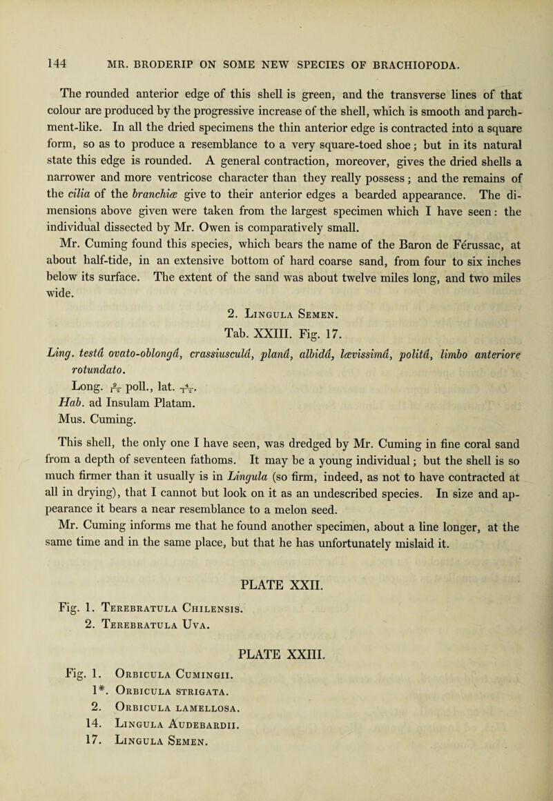 The rounded anterior edge of this shell is green, and the transverse lines of that colour are produced by the progressive increase of the shell, which is smooth and parch¬ ment-like. In all the dried specimens the thin anterior edge is contracted into a square form, so as to produce a resemblance to a very square-toed shoe; but in its natural state this edge is rounded. A general contraction, moreover, gives the dried shells a narrower and more ventricose character than they really possess ; and the remains of the cilia of the branchiae give to their anterior edges a bearded appearance. The di¬ mensions above given were taken from the largest specimen which I have seen: the individual dissected by Mr. Owen is comparatively small. Mr. Cuming found this species, which bears the name of the Baron de Ferussac, at about half-tide, in an extensive bottom of hard coarse sand, from four to six inches below its surface. The extent of the sand was about twelve miles long, and two miles wide. 2. Lingula Semen. Tab. XXIII. Fig. 17. Ling, testa ovato-oblonga, crassiuscula, plana, albida, laevissima, polita, limbo anteriore rotundato. Long. poll., lat. . Hab. ad Insulam Platam. Mus. Cuming. This shell, the only one I have seen, was dredged by Mr. Cuming in fine coral sand from a depth of seventeen fathoms. It may be a young individual; but the shell is so much firmer than it usually is in Lingula (so firm, indeed, as not to have contracted at all in drying), that I cannot but look on it as an undescribed species. In size and ap¬ pearance it bears a near resemblance to a melon seed. Mr. Cuming informs me that he found another specimen, about a line longer, at the same time and in the same place, but that he has unfortunately mislaid it. PLATE XXII. Fig. 1. Terebratula Chilensis. 2. Terebratula Uva. PLATE XXIII. Fig. 1. 1# 2. 14. 17. Orbicula Cumingii. Orbicula strigata. Orbicula lamellosa. Lingula Audebardii. Lingula Semen.