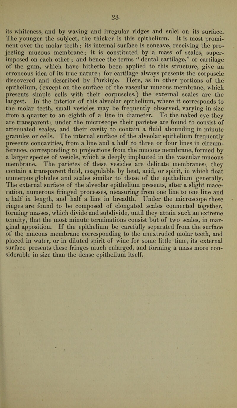 its whiteness, and by waving and irregular ridges and sulci on its surface. The younger the subject, the thicker is this epithelium. It is most promi¬ nent over the molar teeth; its internal surface is concave, receiving the pro¬ jecting mucous membrane; it is constituted by a mass of scales, super¬ imposed on each other; and hence the terms “ dental cartilage,” or cartilage of the gum, which have hitherto been applied to this structure, give an erroneous idea of its true nature; for cartilage always presents the corpuscle discovered and described by Purkinje. Here, as in other portions of the epithelium, (except on the surface of the vascular mucous membrane, which presents simple cells with their corpuscles,) the external scales are the largest. In the interior of this alveolar epithelium, where it corresponds to the molar teeth, small vesicles may be frequently observed, varying in size from a quarter to an eighth of a line in diameter. To the naked eye they are transparent; under the microscope their parietes are found to consist of attenuated scales, and their cavity to contain a fluid abounding in minute granules or cells. The internal surface of the alveolar epithelium frequently presents concavities, from a line and a half to three or four lines in circum¬ ference, corresponding to projections from the mucous membrane, formed by a larger species of vesicle, which is deeply implanted in the vascular mucous membrane. The parietes of these vesicles are delicate membranes; they contain a transparent fluid, coagulable by heat, acid, or spirit, in which float numerous globules and scales similar to those of the epithelium generally. The external surface of the alveolar epithelium presents, after a slight mace¬ ration, numerous fringed processes, measuring from one line to one line and a half in length, and half a line in breadth. Under the microscope these ringes are found to be composed of elongated scales connected together, forming masses, which divide and subdivide, until they attain such an extreme tenuity, that the most minute terminations consist but of two scales, in mar¬ ginal apposition. If the epithelium be carefully separated from the surface of the mucous membrane corresponding to the unextruded molar teeth, and placed in water, or in diluted spirit of wine for some little time, its external surface presents these fringes much enlarged, and forming a mass more con¬ siderable in size than the dense epithelium itself.